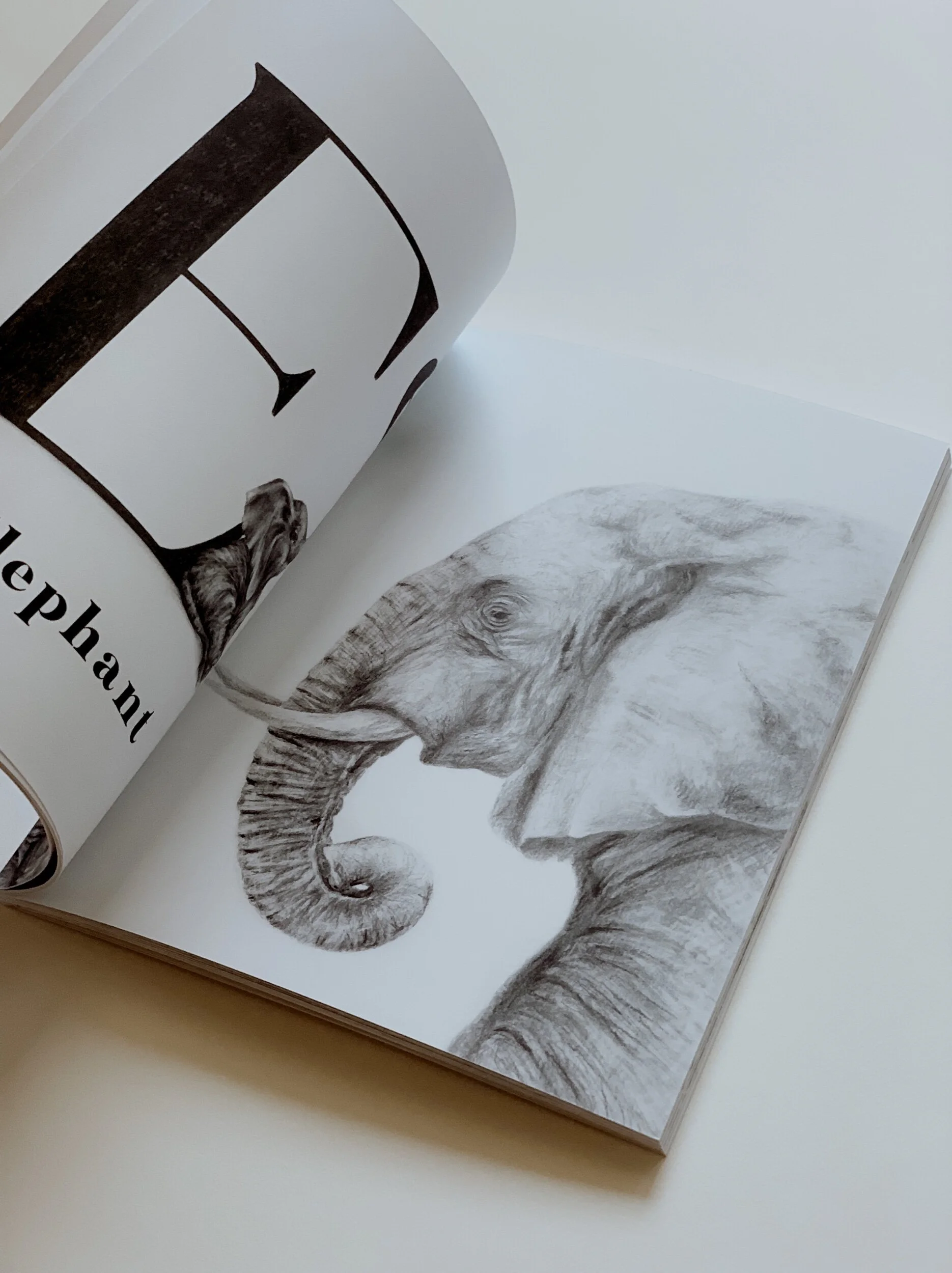 ED24A75F-8C12-4A72-9BFC-7DD6837F7BCD