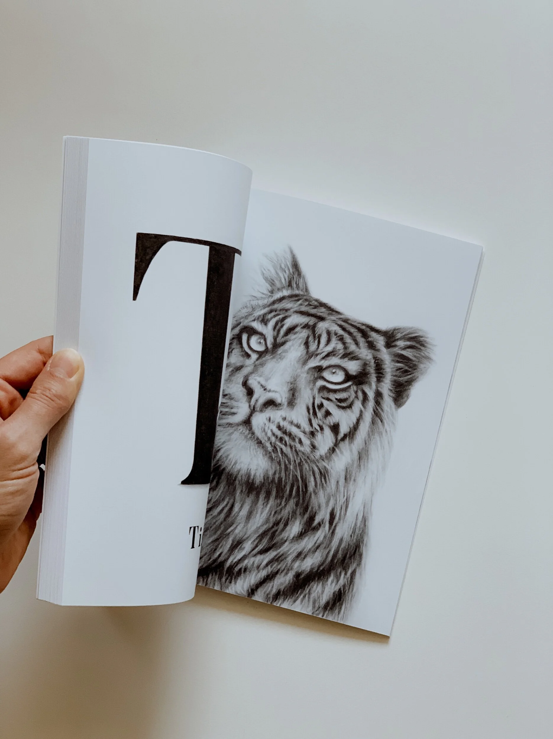 01140A69-78C6-44AA-932D-9428574C2793