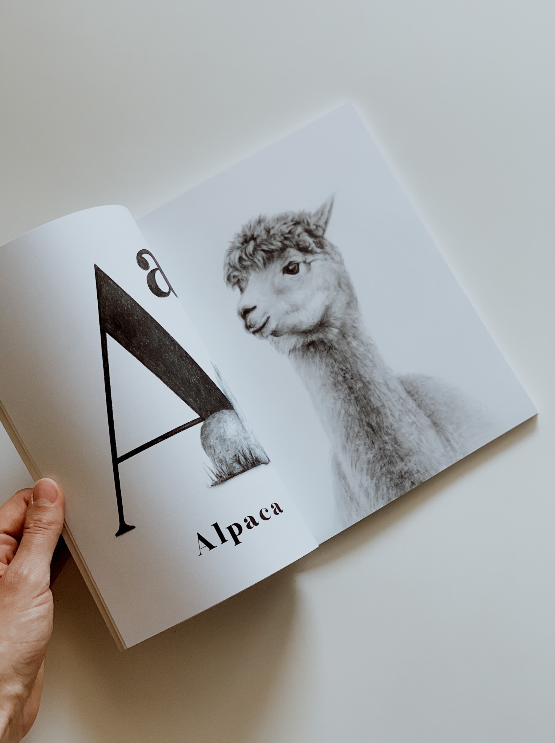 A0986D87-1746-469B-B8B5-58971D3C971A