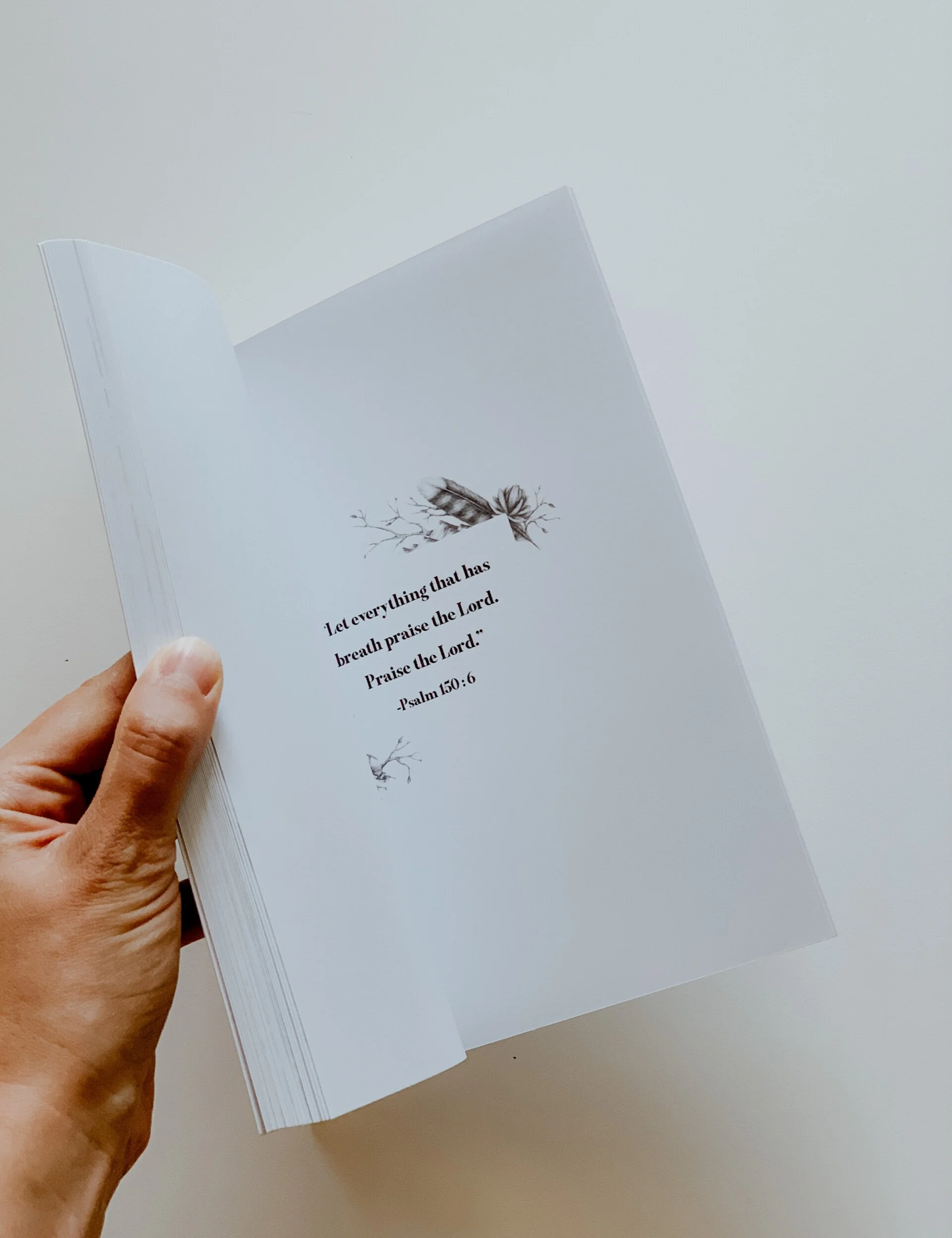 3DE90C66-8D87-4173-8370-0F8BF60C48D8