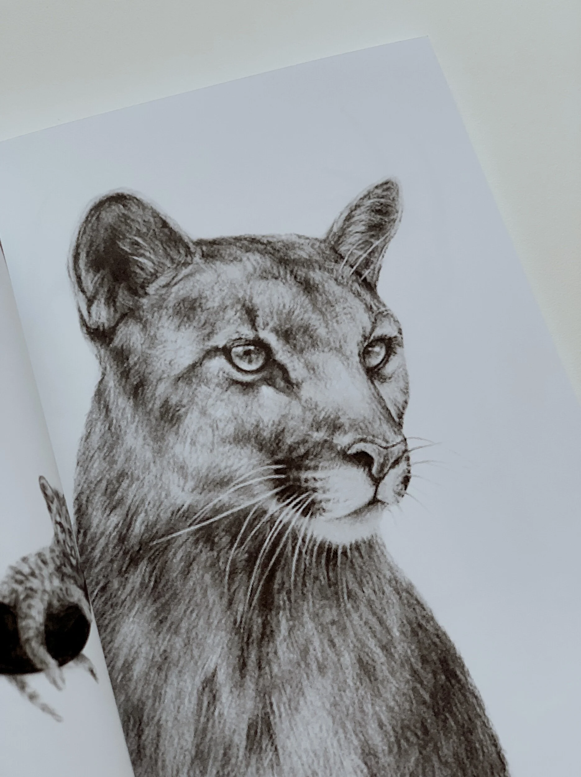 93A1303D-95D5-467A-80C4-1ABCB156277E