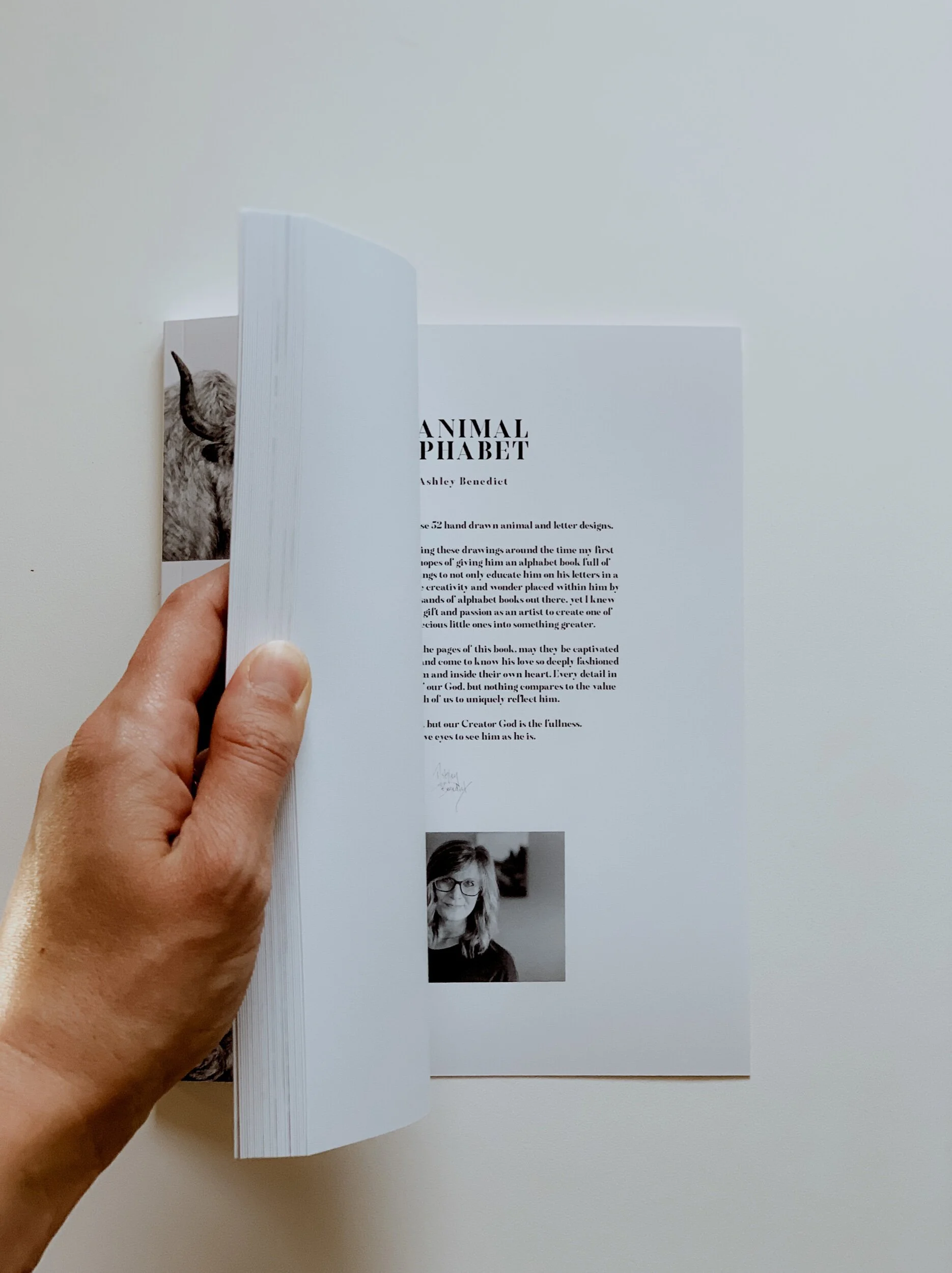 951FE62C-34E5-467E-9051-CF7778E35FA2