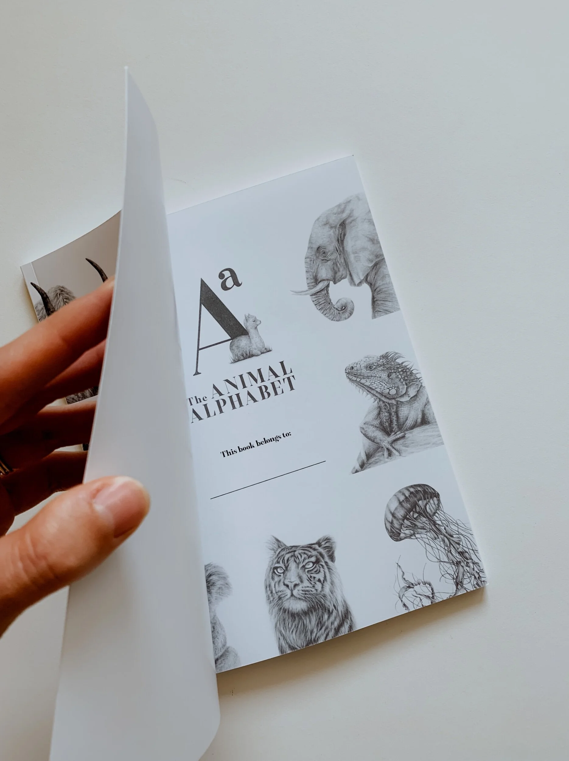 EDE97067-F6E5-49FC-B3D2-87580D662827