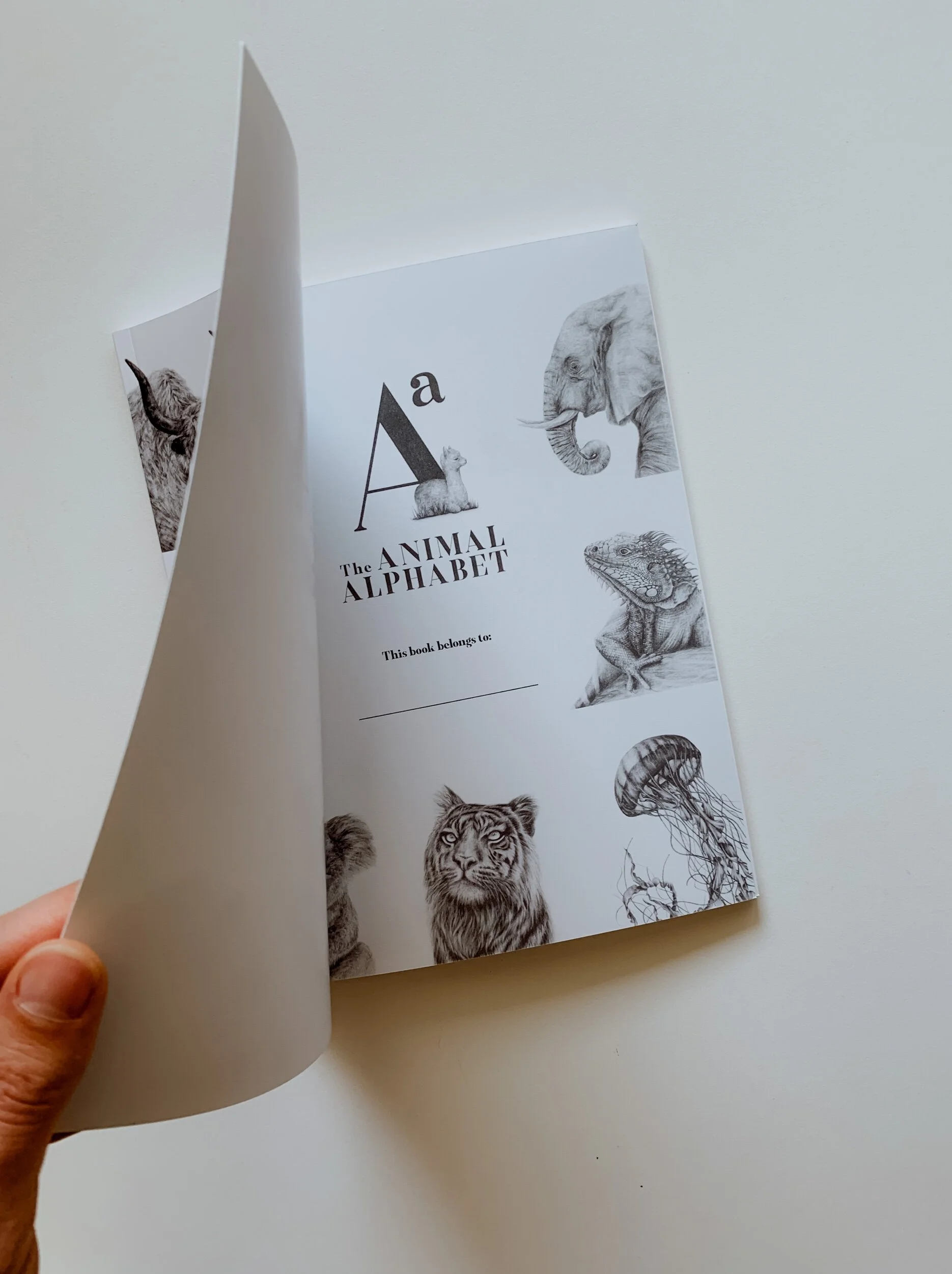 0D14594E-D3E0-433F-A7FE-7AEF005C273E