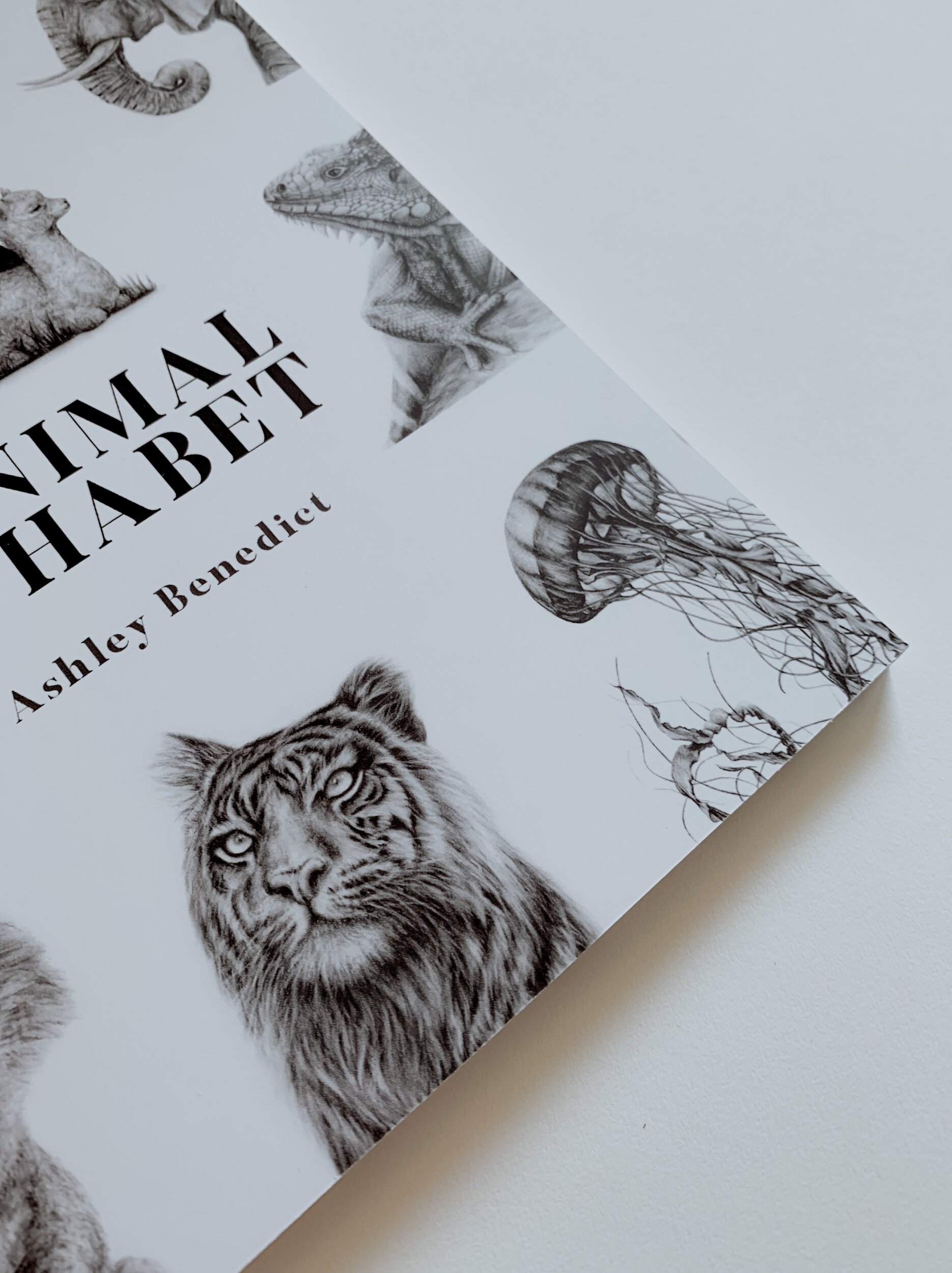 0D25199E-148E-46B6-8450-5656D625C948