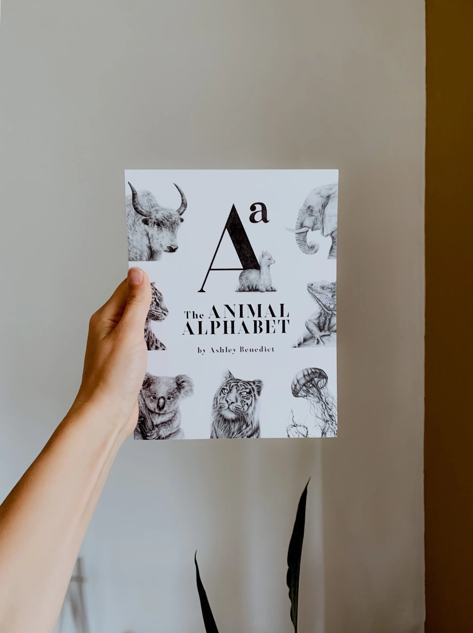 176E581C-9E64-4162-AA3D-29B078288747