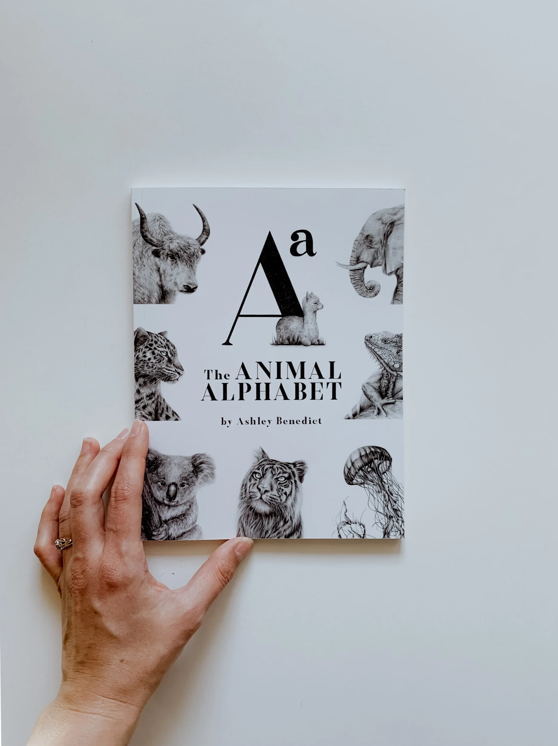 D0456C8E-59A3-4072-9A05-75CD9543F91C