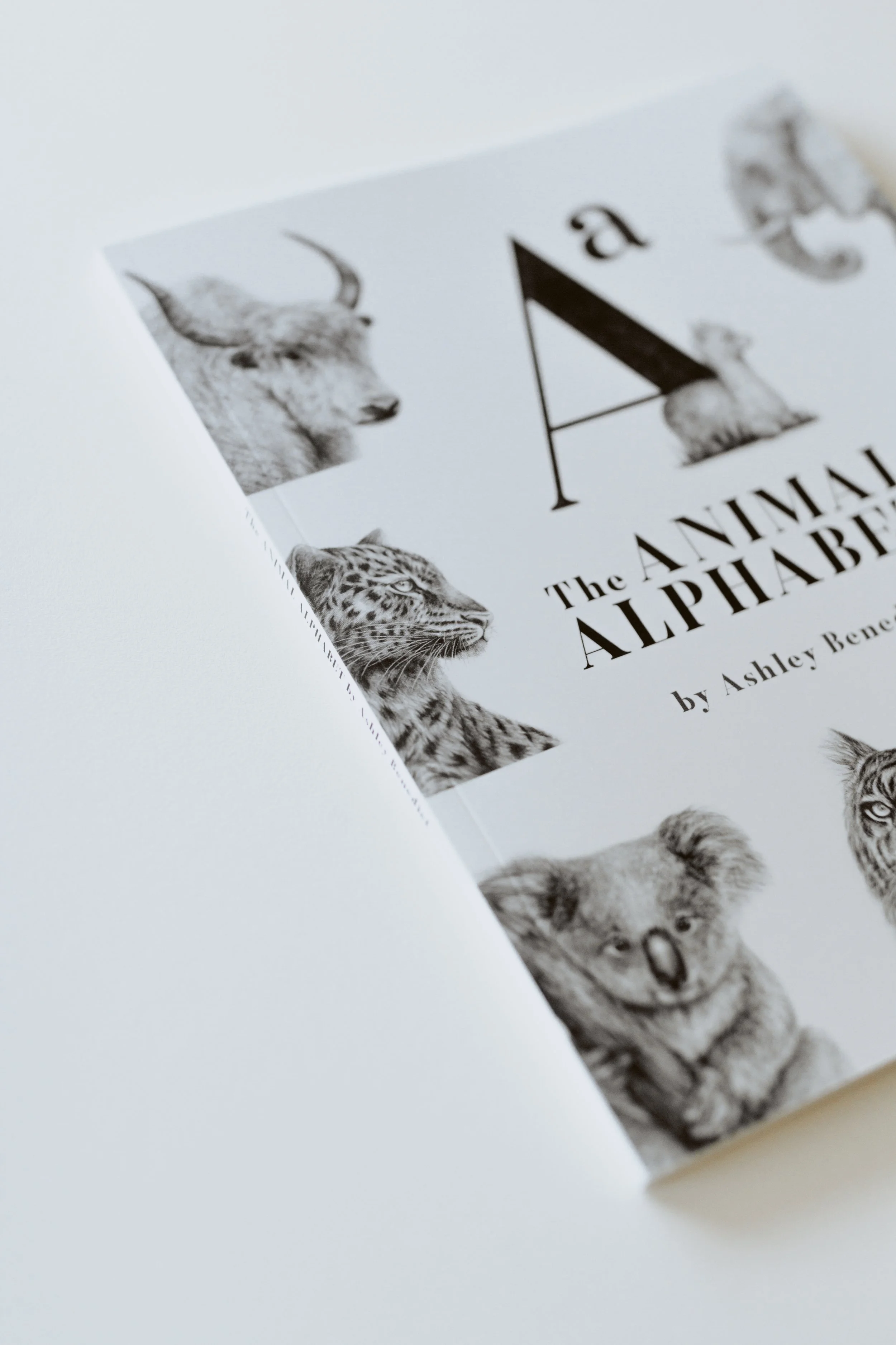 paperbackabcbook-04.jpg