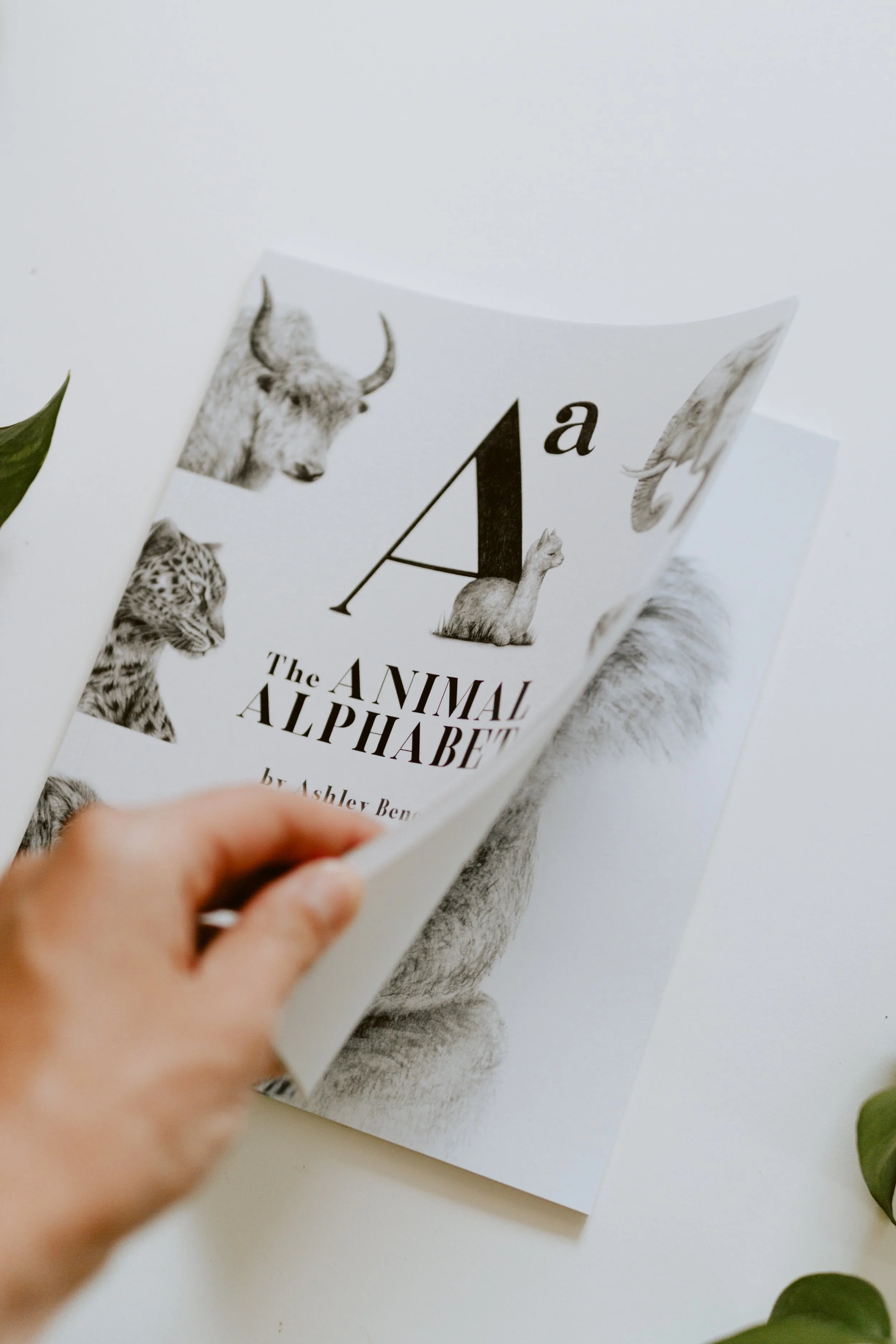 paperbackabcbook-66.jpg