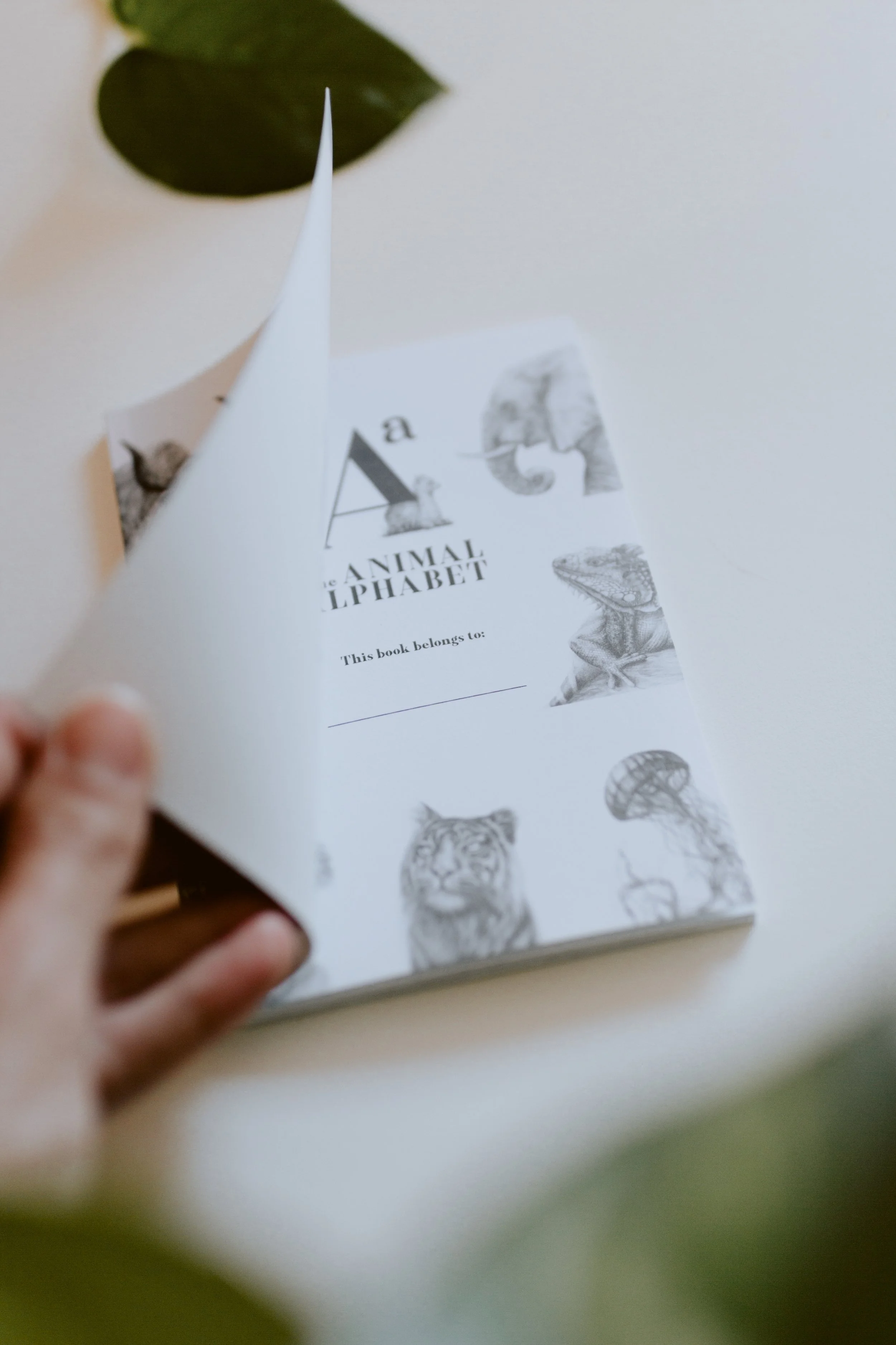 Mini Alphabet Book-079.jpg
