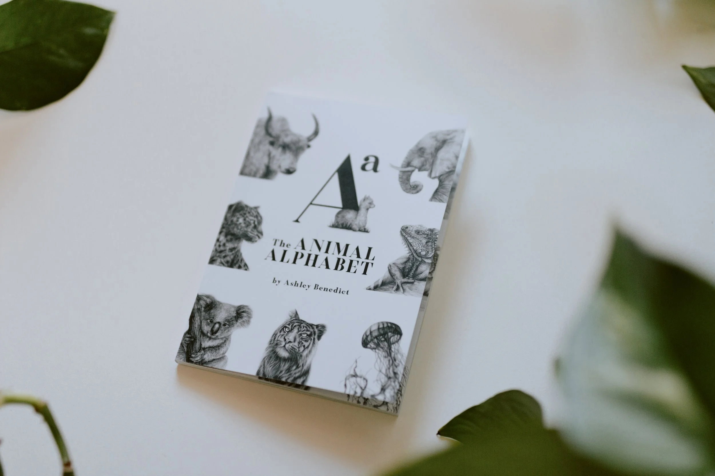 Mini Alphabet Book-075.jpg