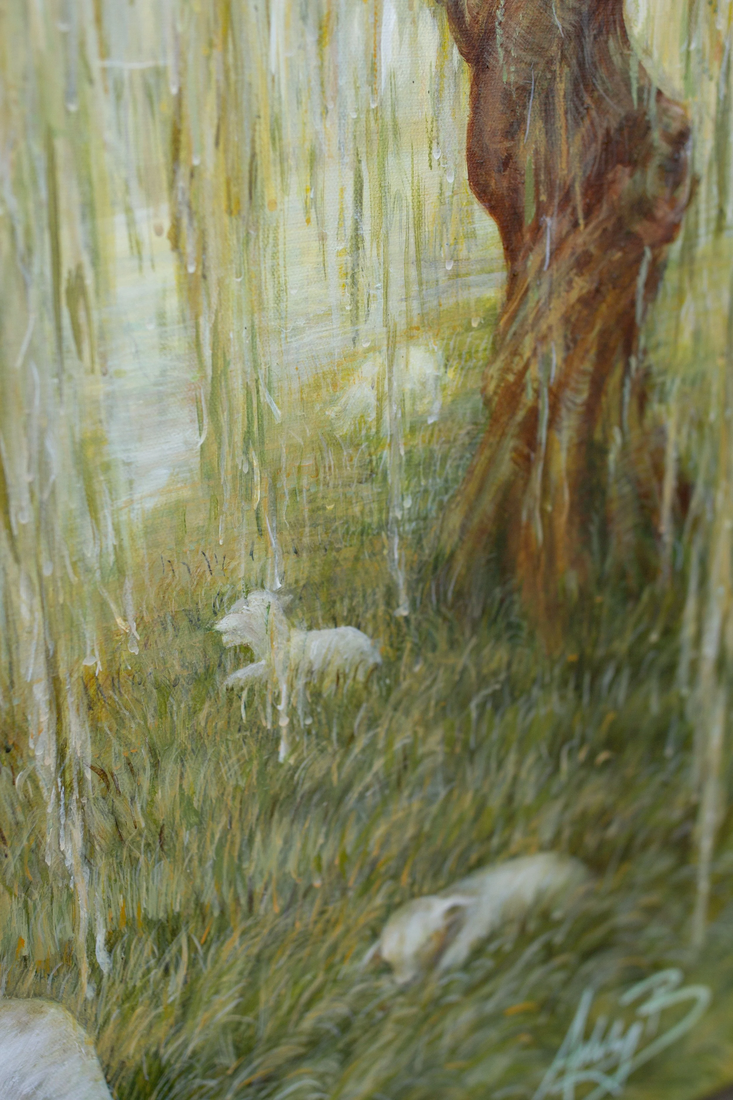 Pastures-15.jpg