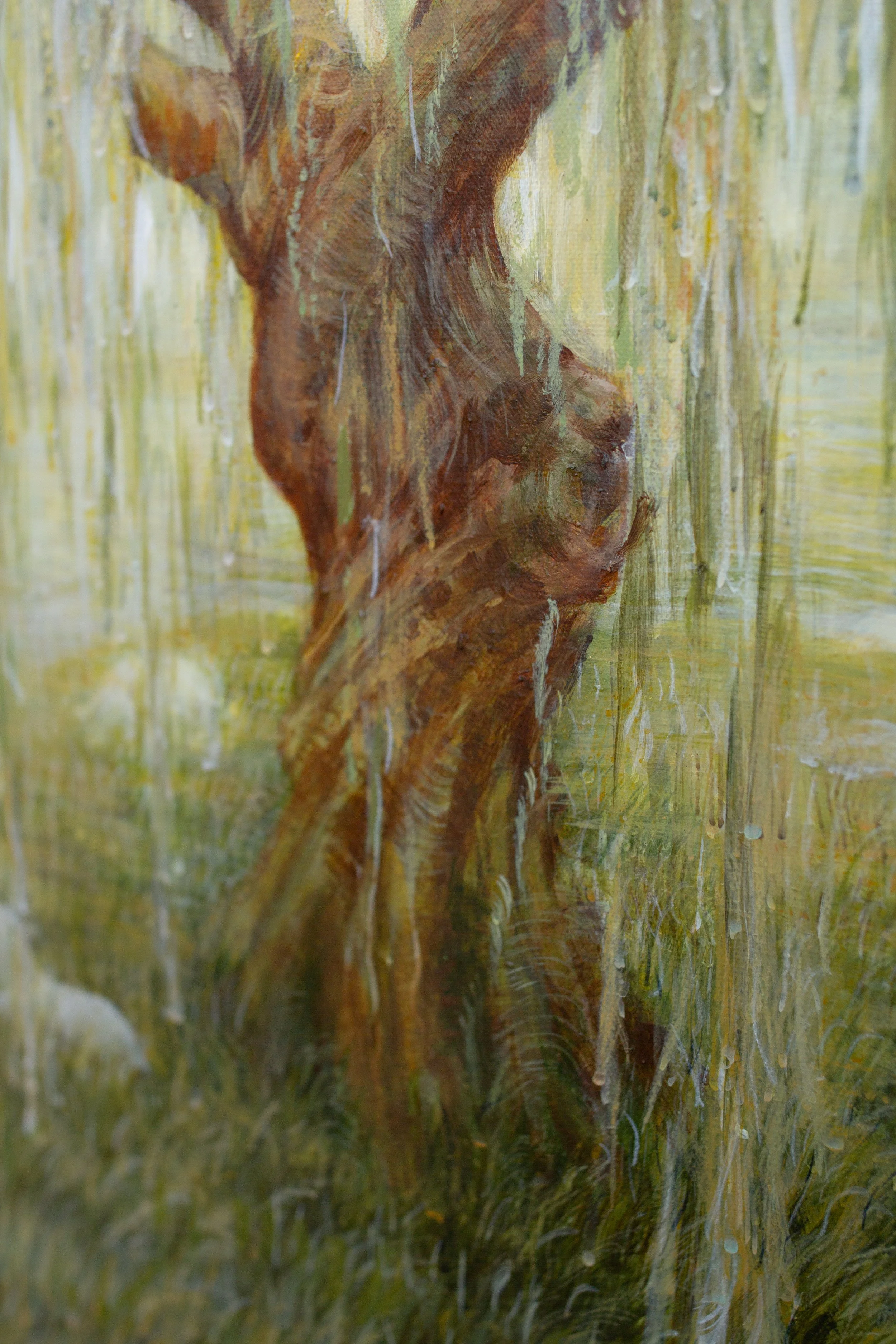 Pastures-06.jpg