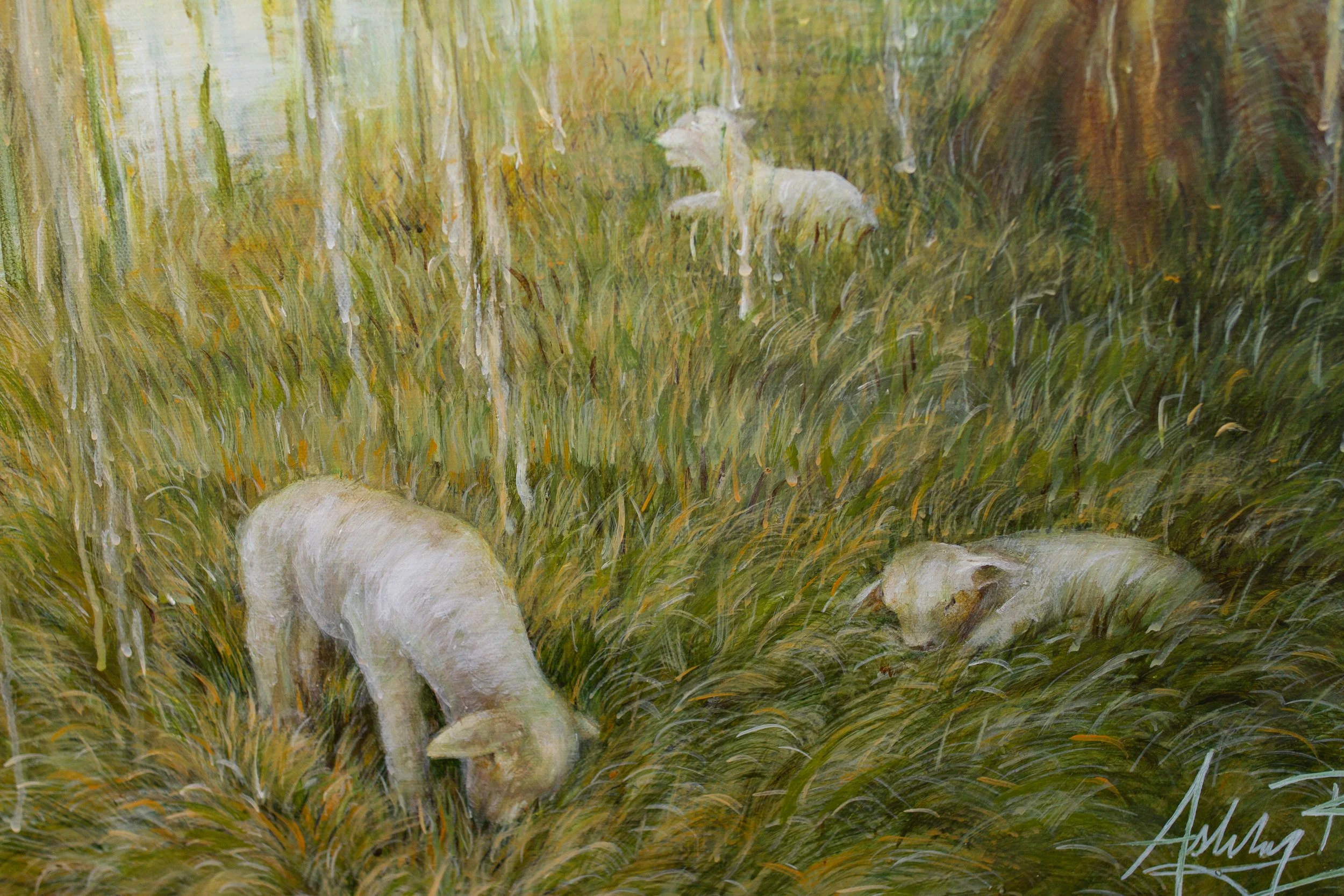 Pastures-02.jpg