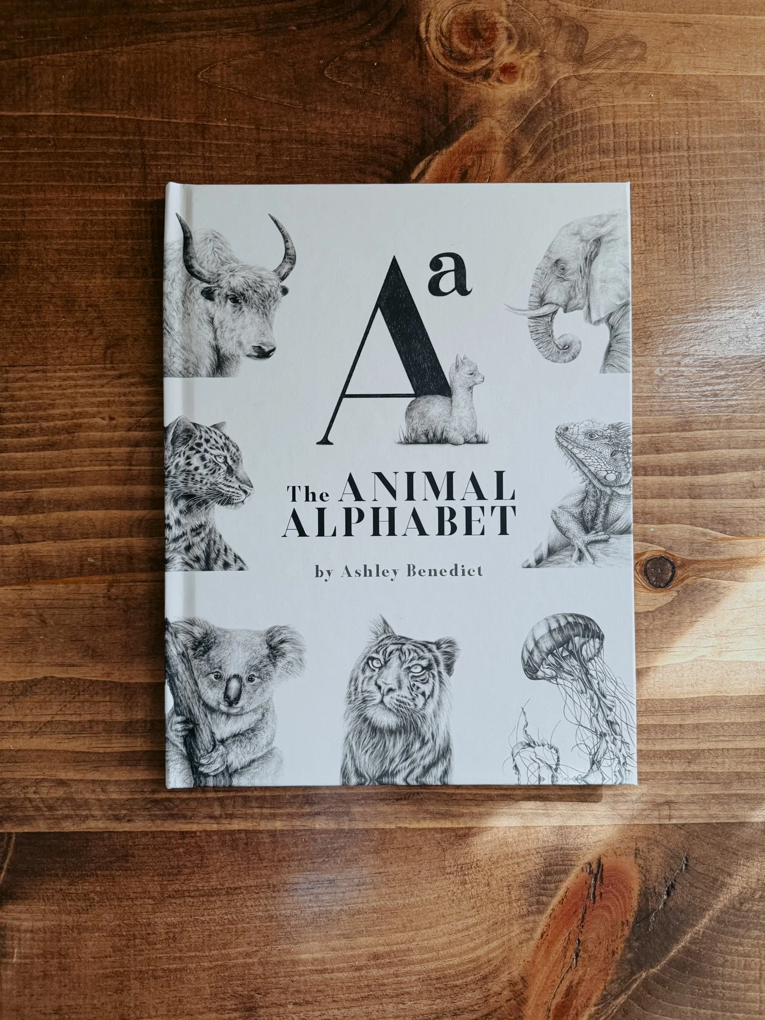 Imperfect Hardcover-15.jpg