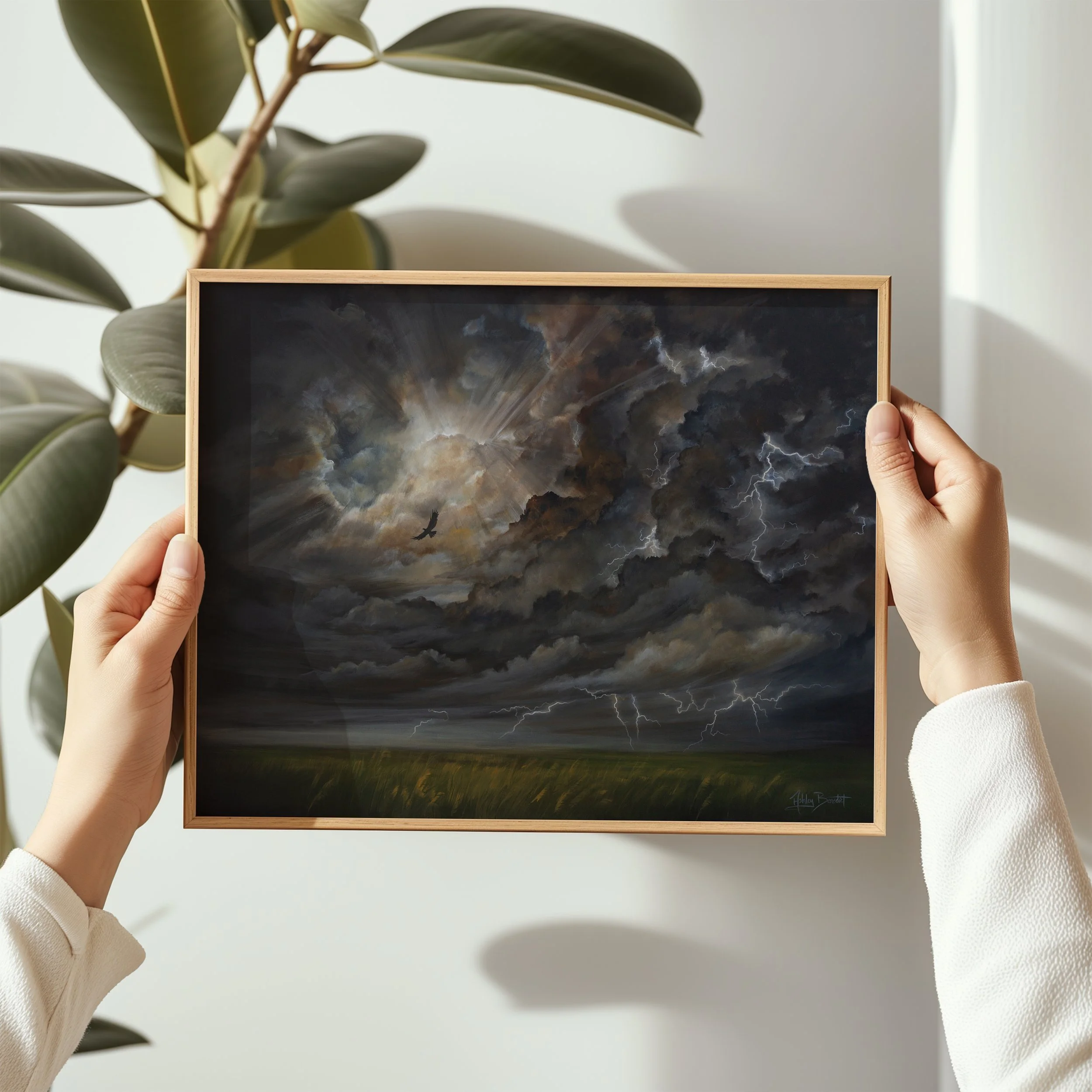 StormFramed4.jpg