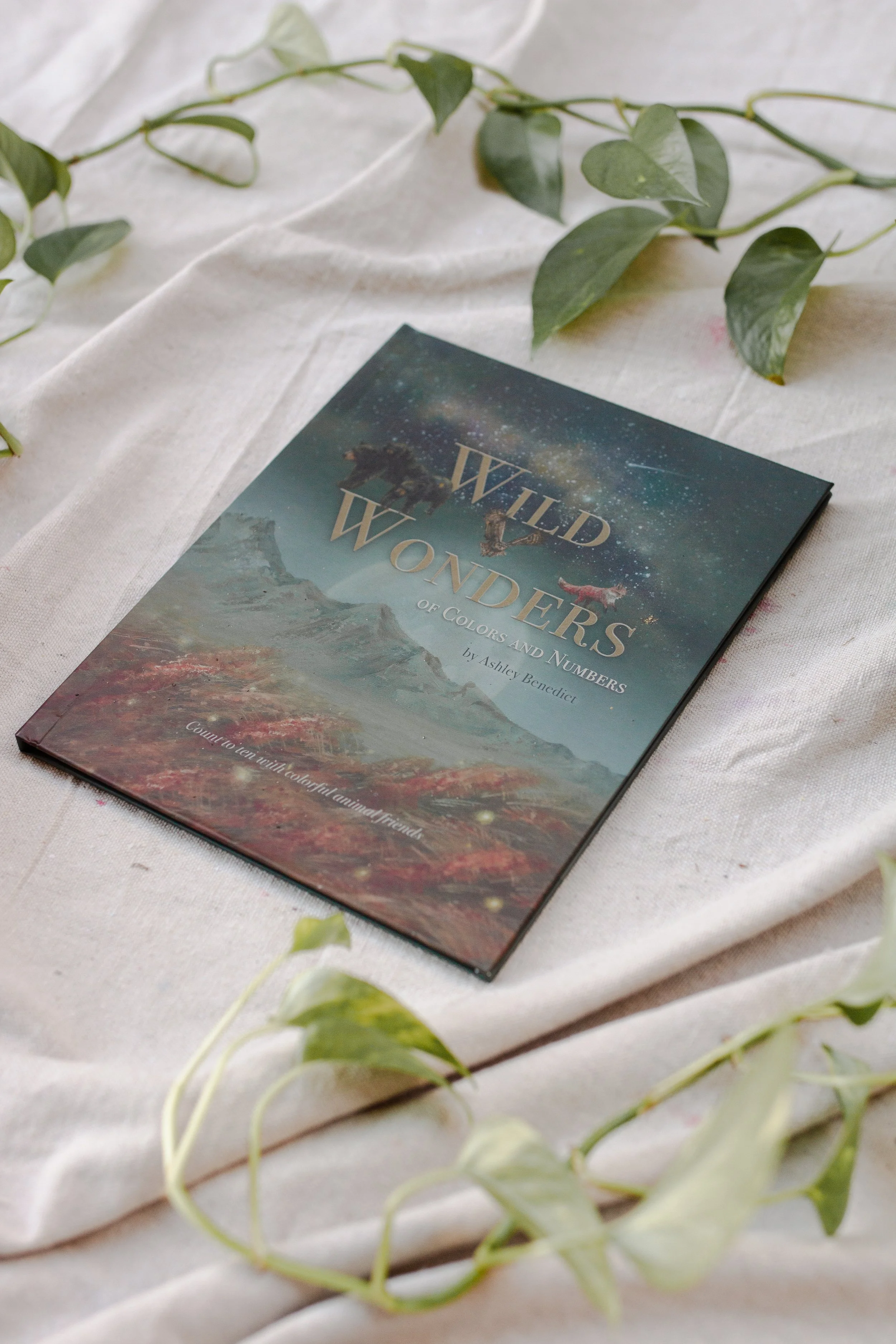 wildwonders-1.jpg