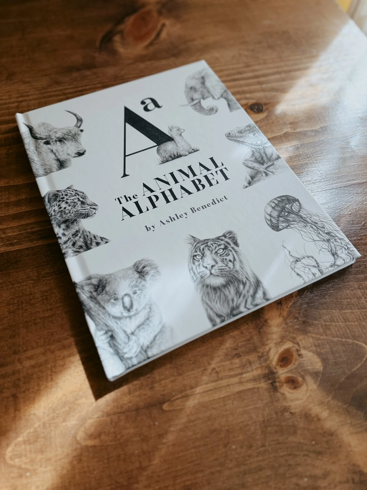 Imperfect Hardcover-08.jpg