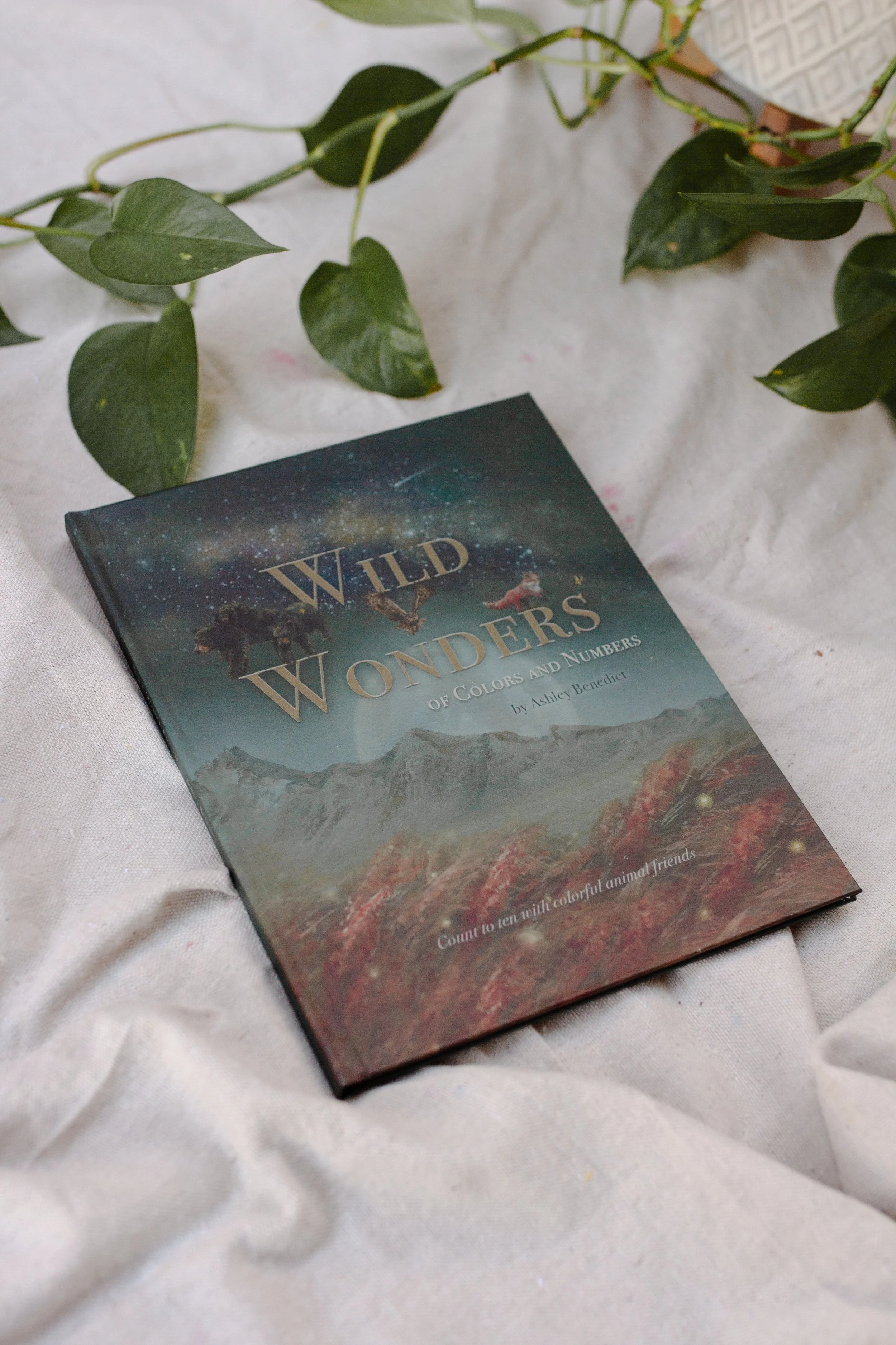 wildwonders-43.jpg