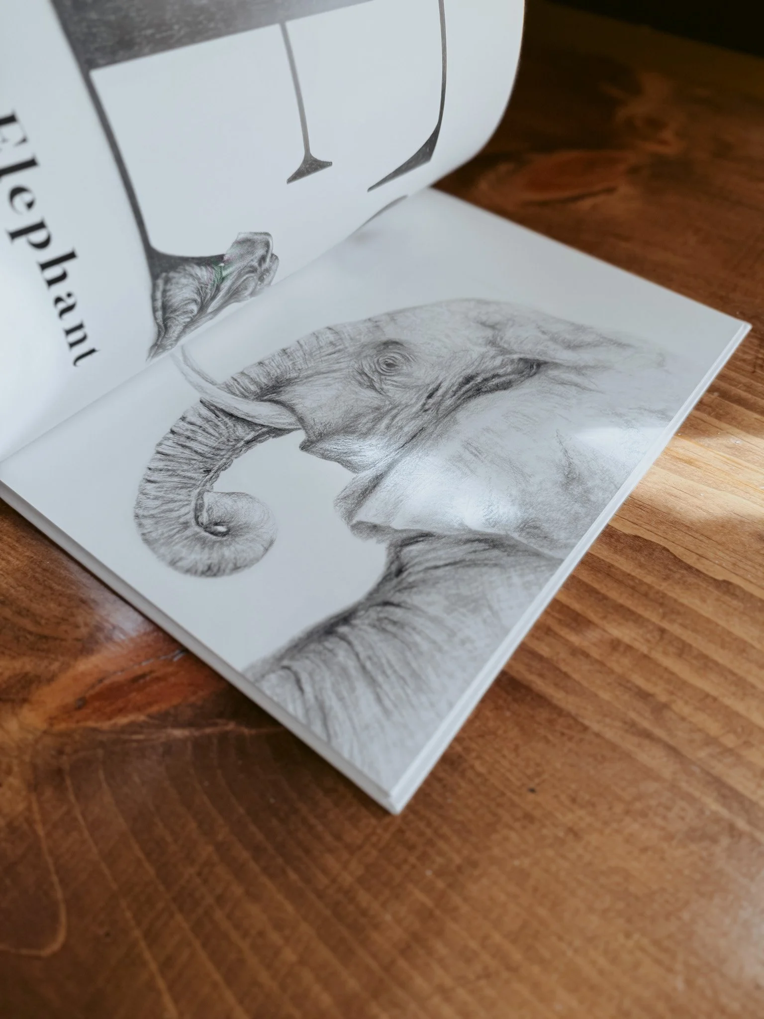 Imperfect Hardcover-05.jpg