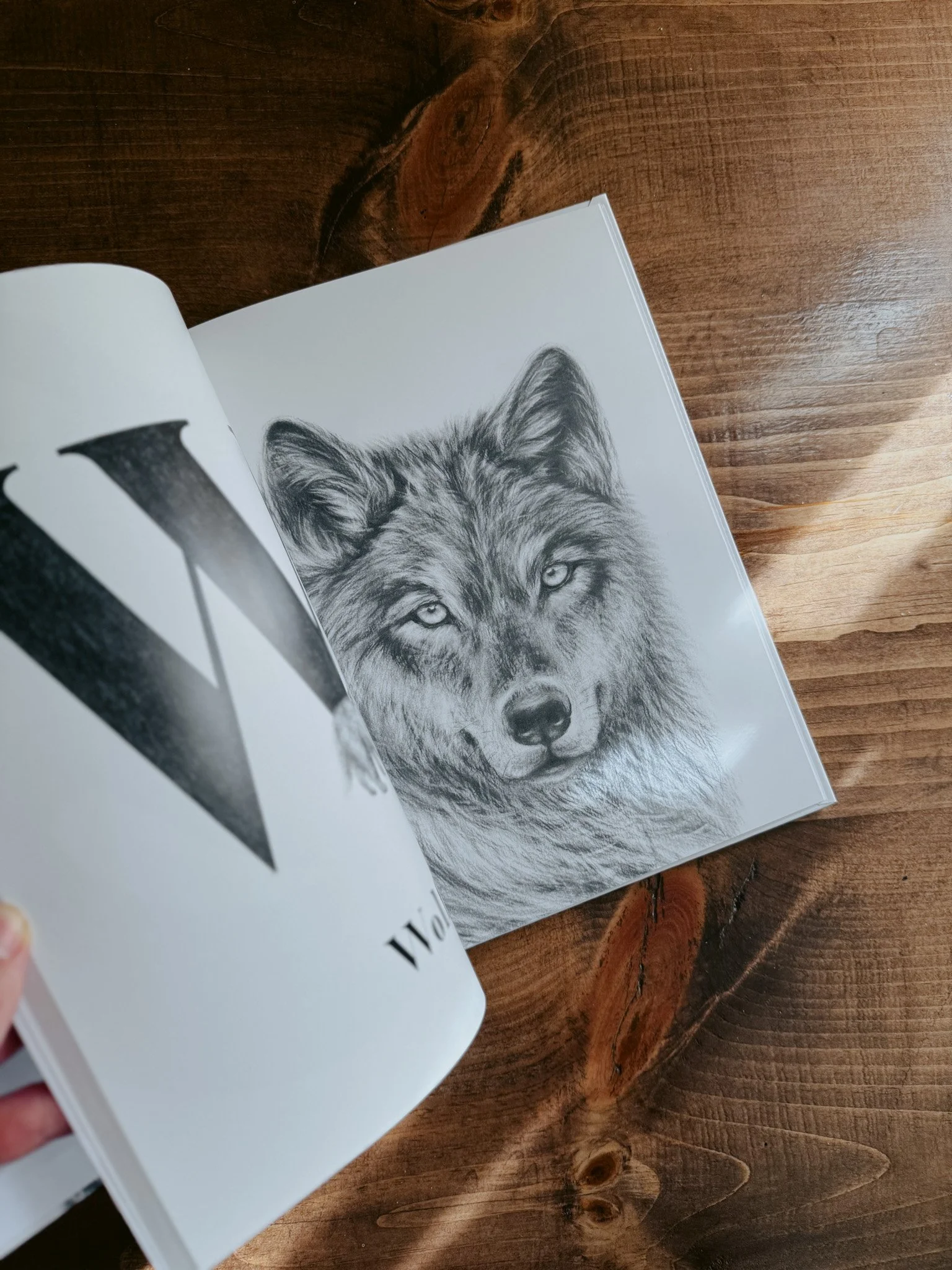 Imperfect Hardcover-18.jpg