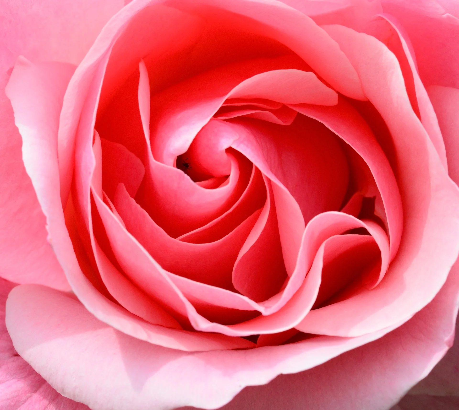 What is Reproductive, Digestive and Fertility Massage?