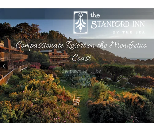 StanfordInn_LOGO PHOTO_web3.jpg