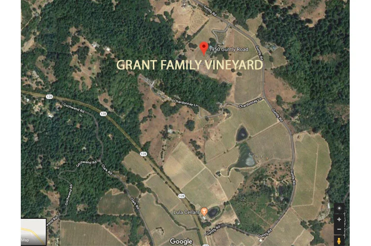 Grant-Family-Vineyard-LOGO-on-SQUARESPACE.jpg