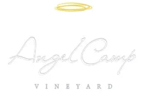 Angel-Camp_LOGO-464x348.jpg
