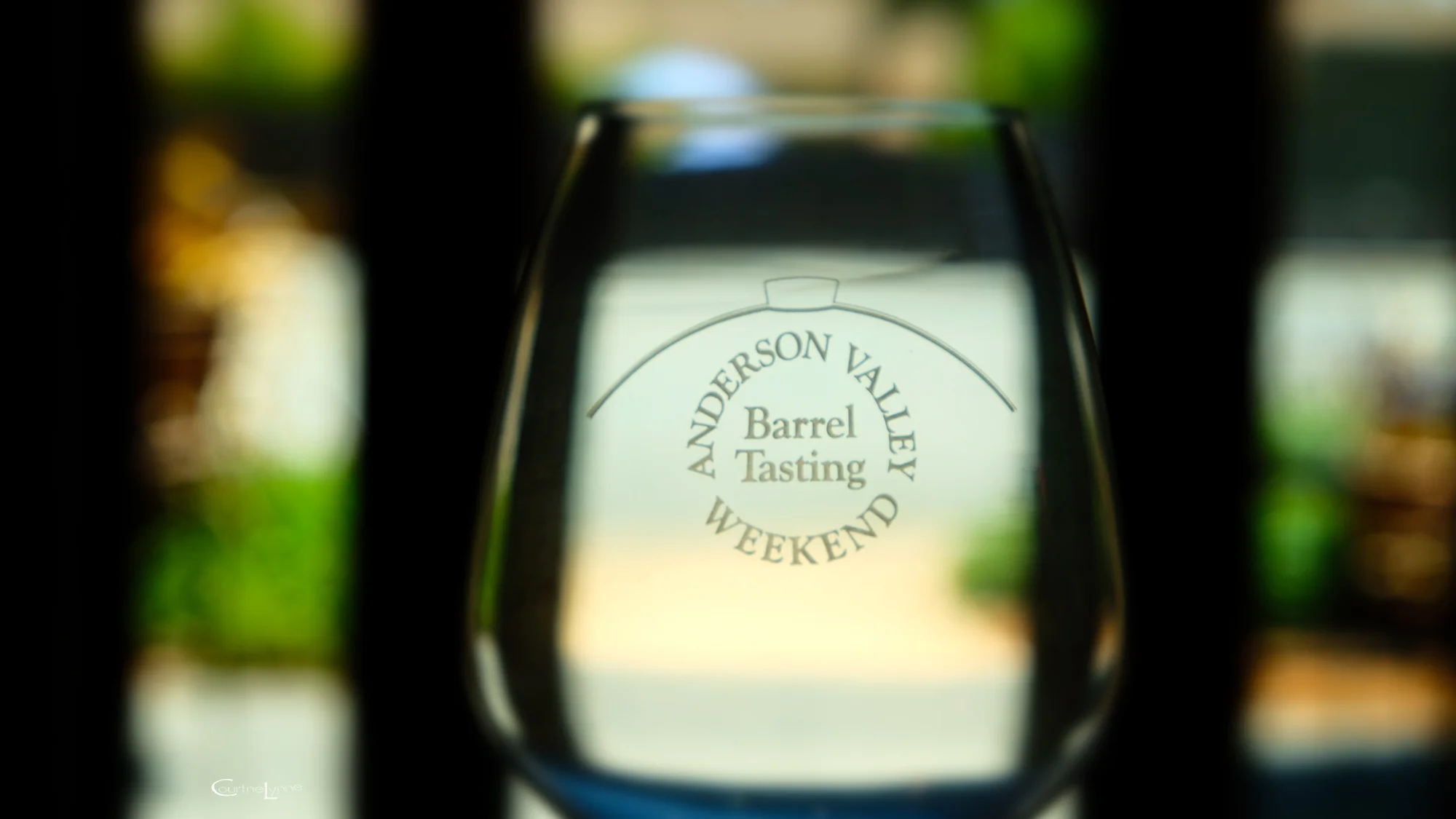 AVWA Glass WEB.jpg