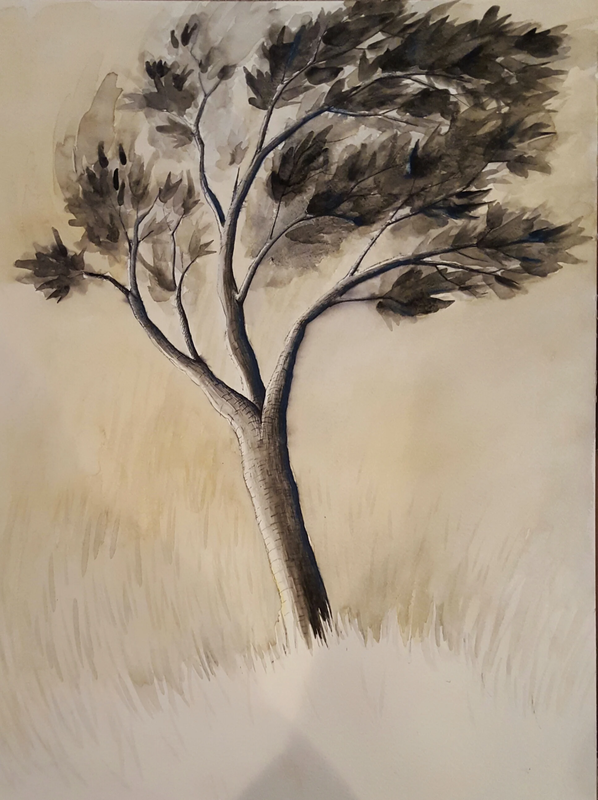 Tree02.jpg