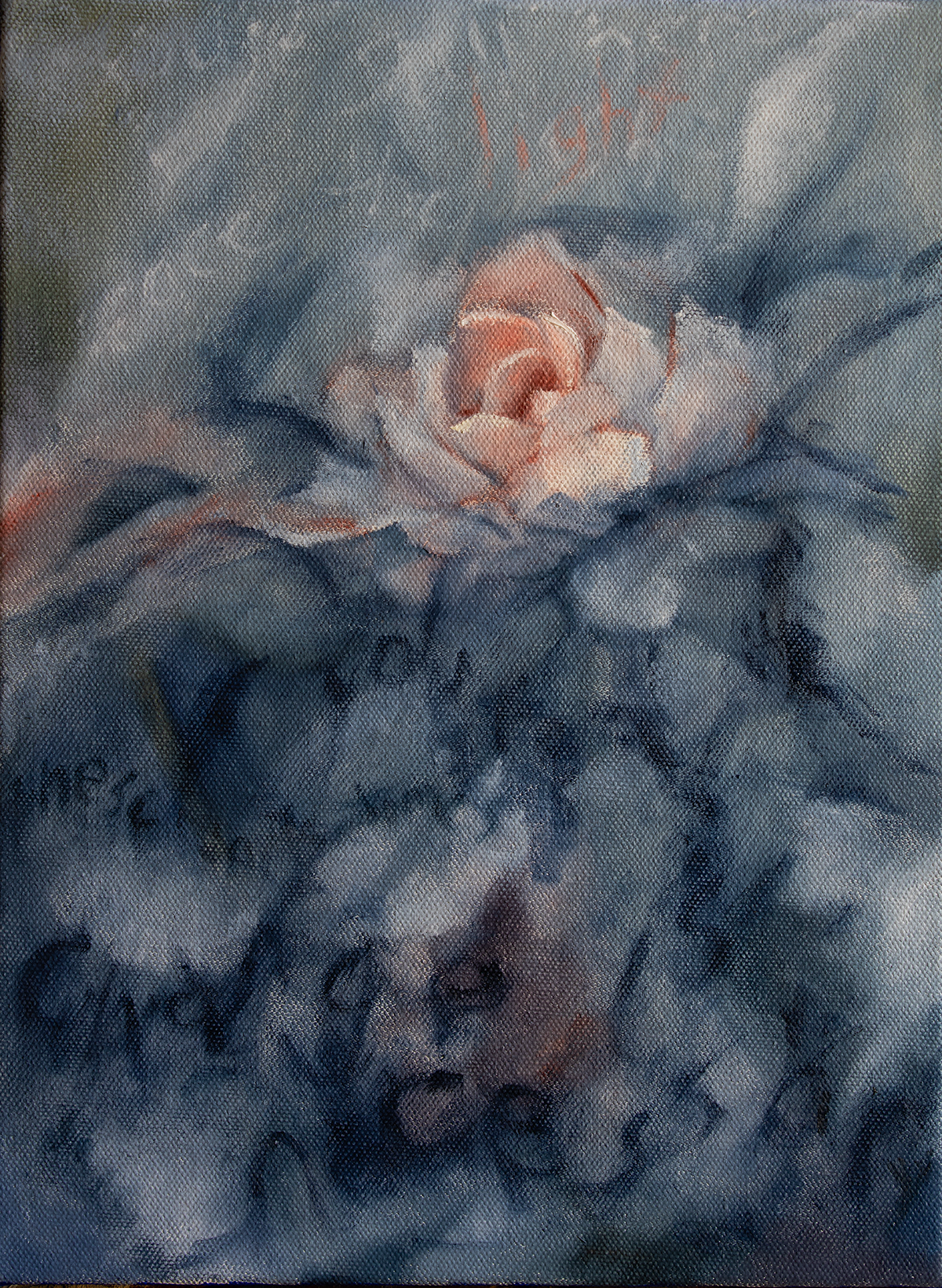 Camellia Bloom - Oil Painting by Phil Vance