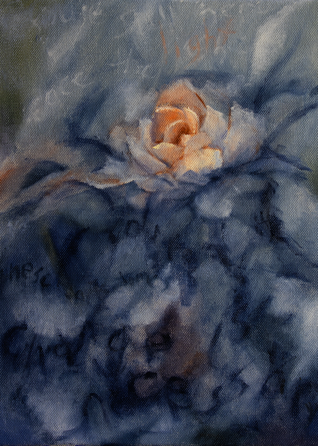 Camellia Bloom Oil Painting by Phil Vance.png