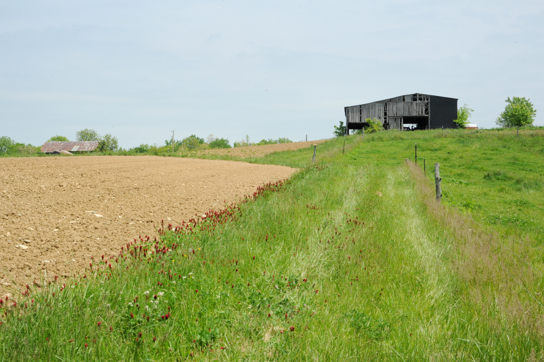 Hazelfield Farm.Kentucky-1.JPG