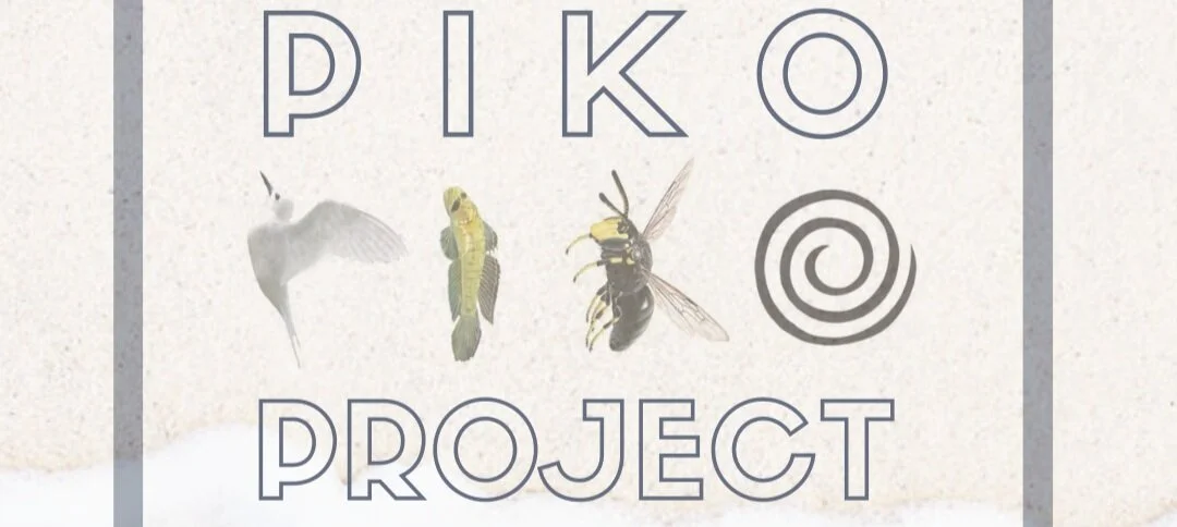 PIKO+Project+IG.jpg