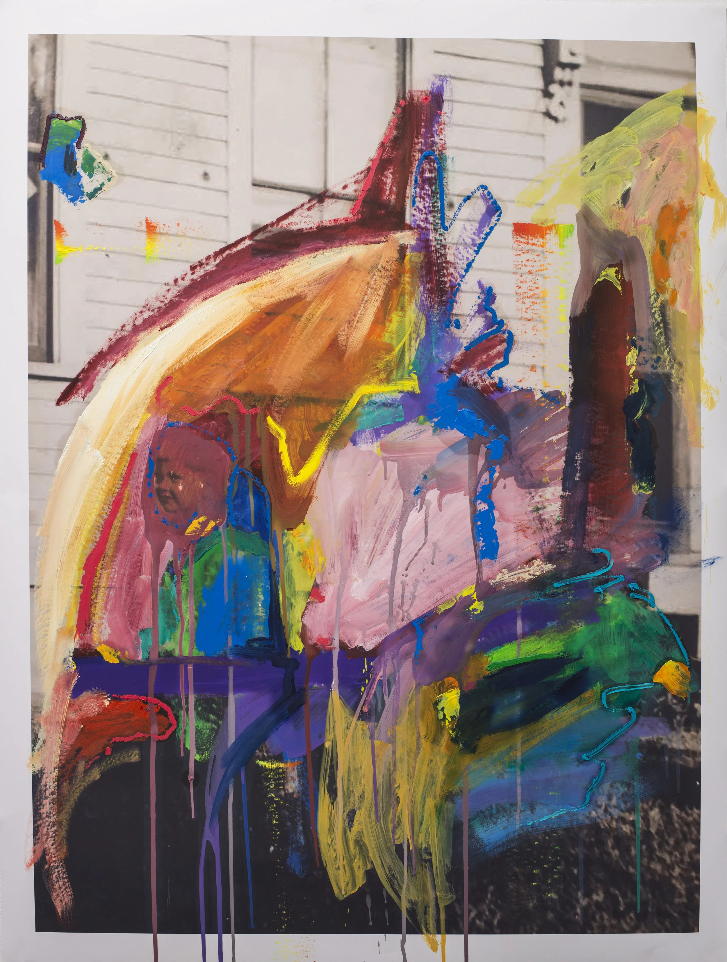 Lest We Forget and Other Past Detritus. No.5 2016. Oil on matte photo prints. 45” x 34”.