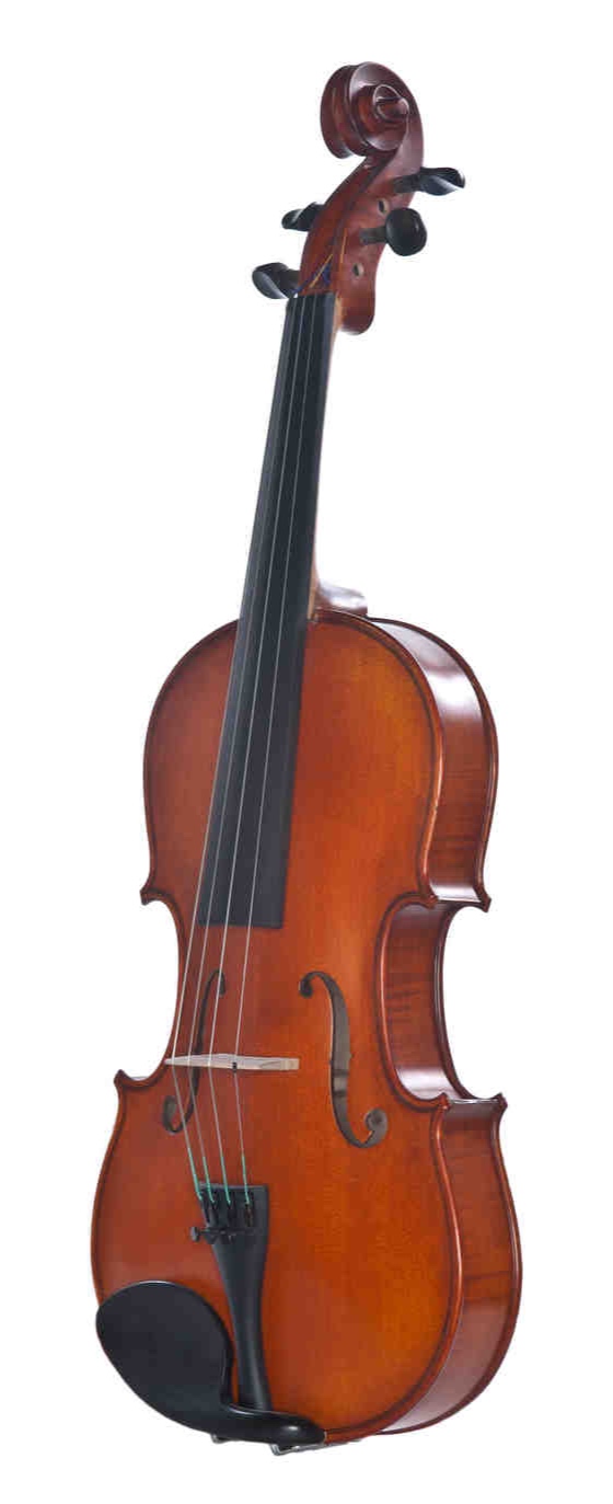 Meisel+Viola+7294VA.jpg