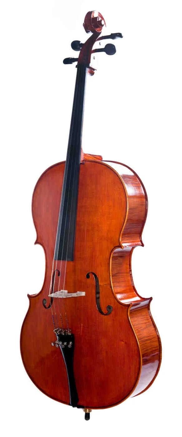Erwin+Otto+Cello+8022CL.jpg