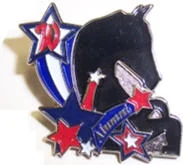 The Alumni Pin