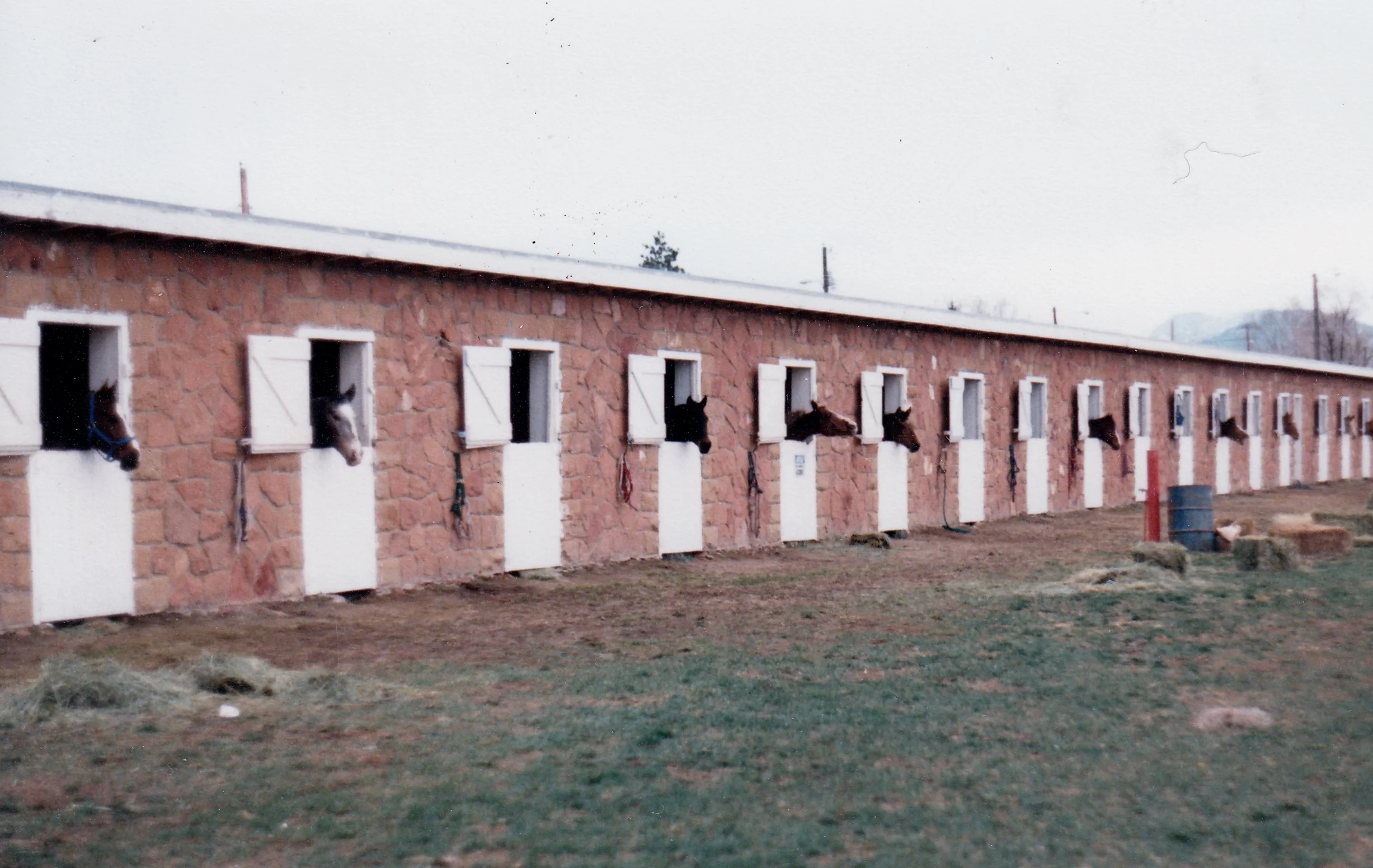Westernaires horses were comfortably stabled overnight in Sheridan, Wyoming, on their road trip back home from Regina, Saskatchewan, in 1986.