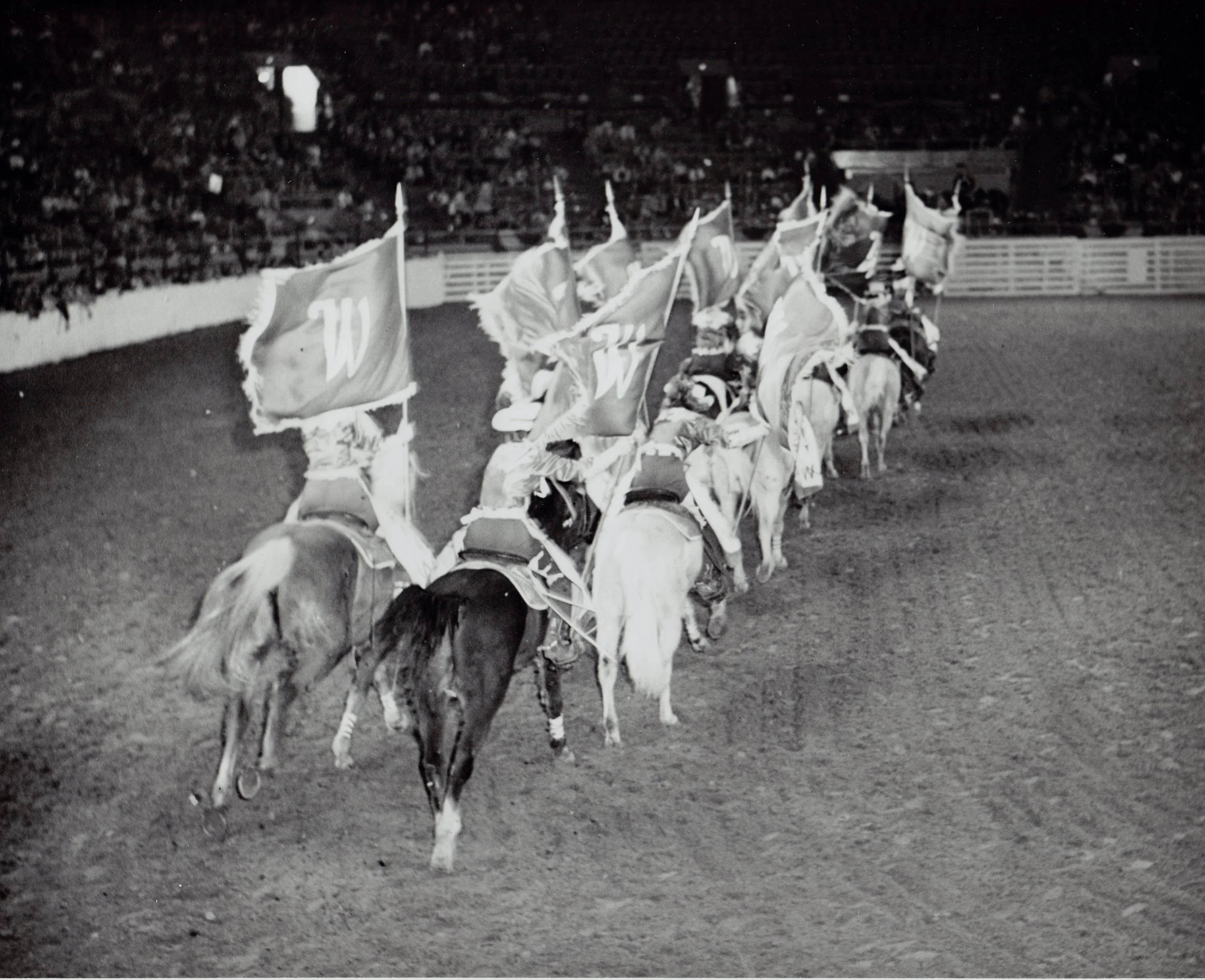 The Westernaires Grand Entry team dashes into the Coliseum at the 1961 National Western Stock Show.