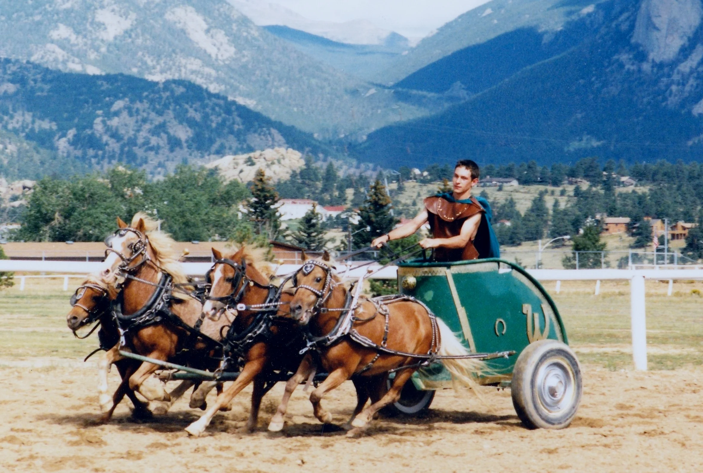 Hugh Peterson at the 1994 Estes Park show drives chariot ponies (from left to right): Smokey, Mike, Snort, and Cinnamon. These brown ponies were part of a group that was acquired by Westernaires in the mid-1980s.