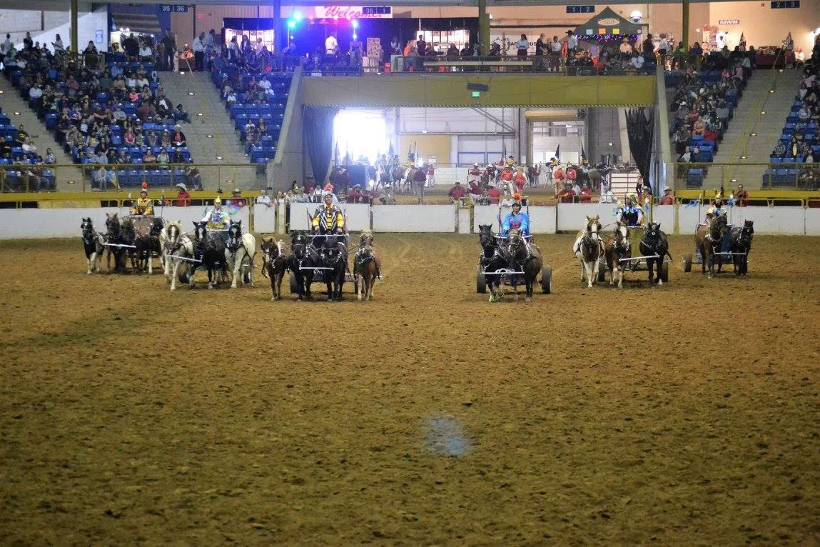 Westernaires Charioteers performing at the 2016 Westernaires Horsecapades Annual Show. Photo courtesy of Palmer Photography .