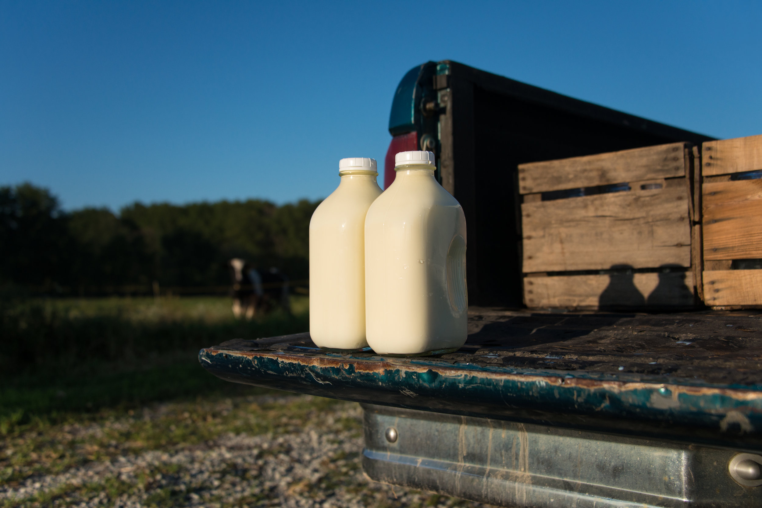 A MARKET FARM. A MOVEMENT.