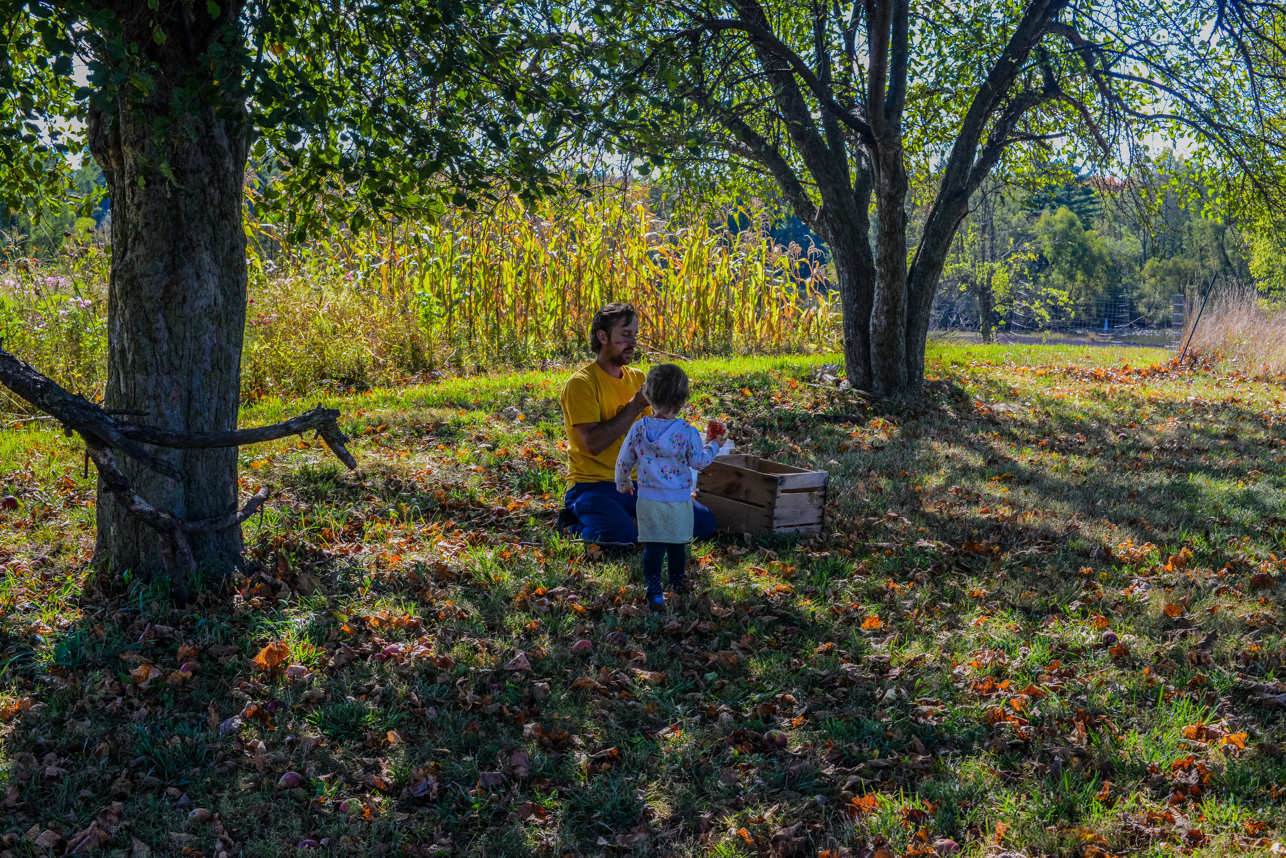 A MARKET FARM. A MOVEMENT.