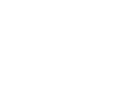 ZTH-icons-1-consultation.png