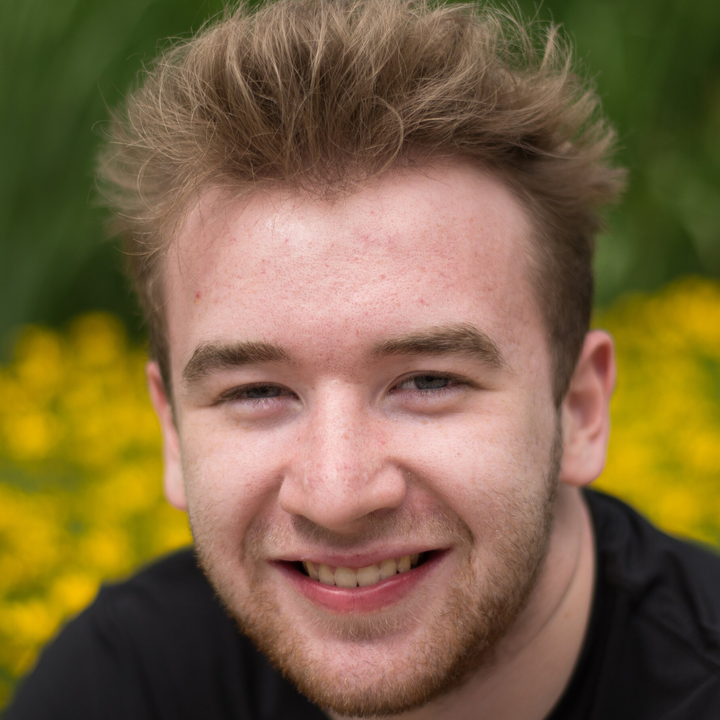 Michael DiSciullo