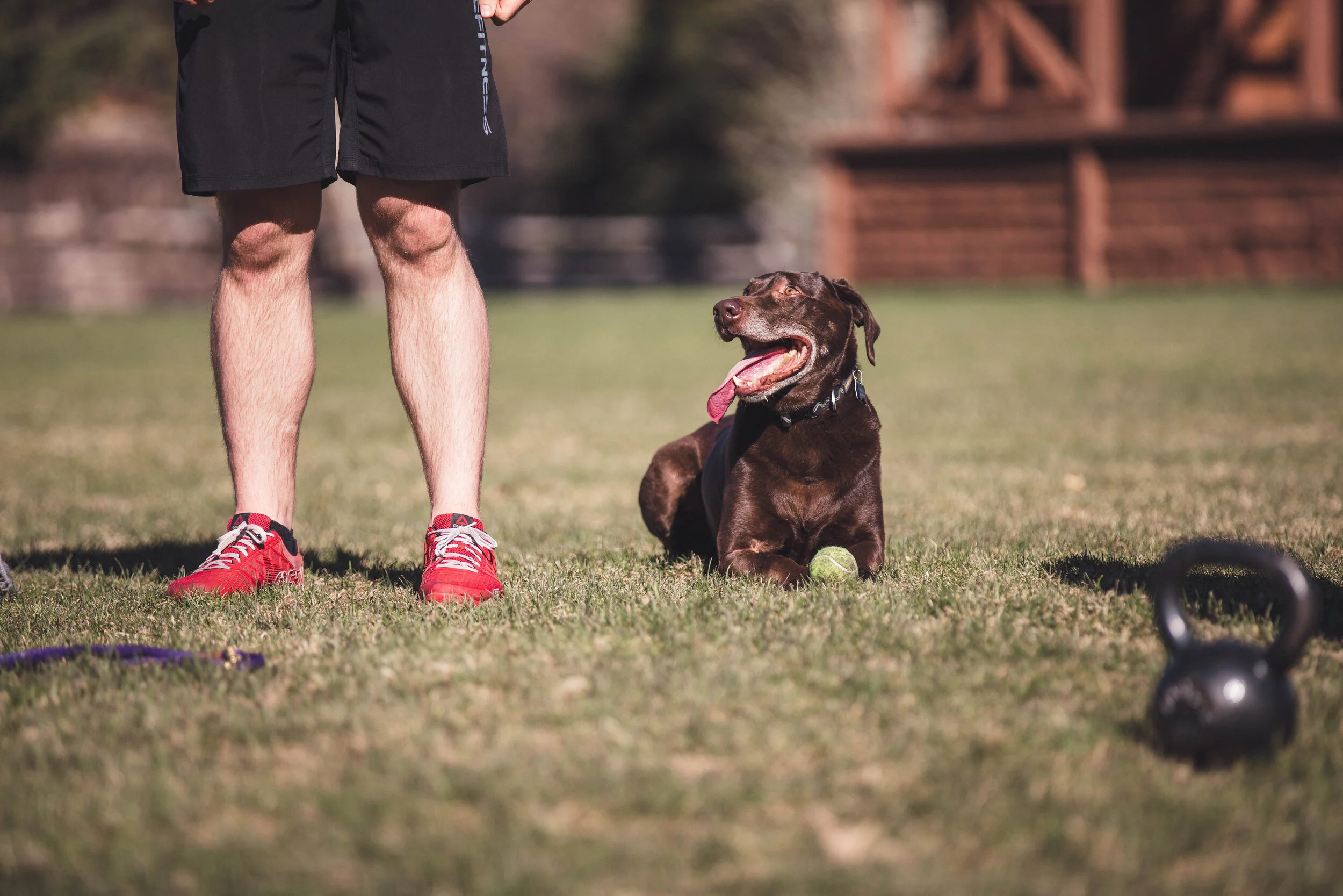 dog wod.jpg