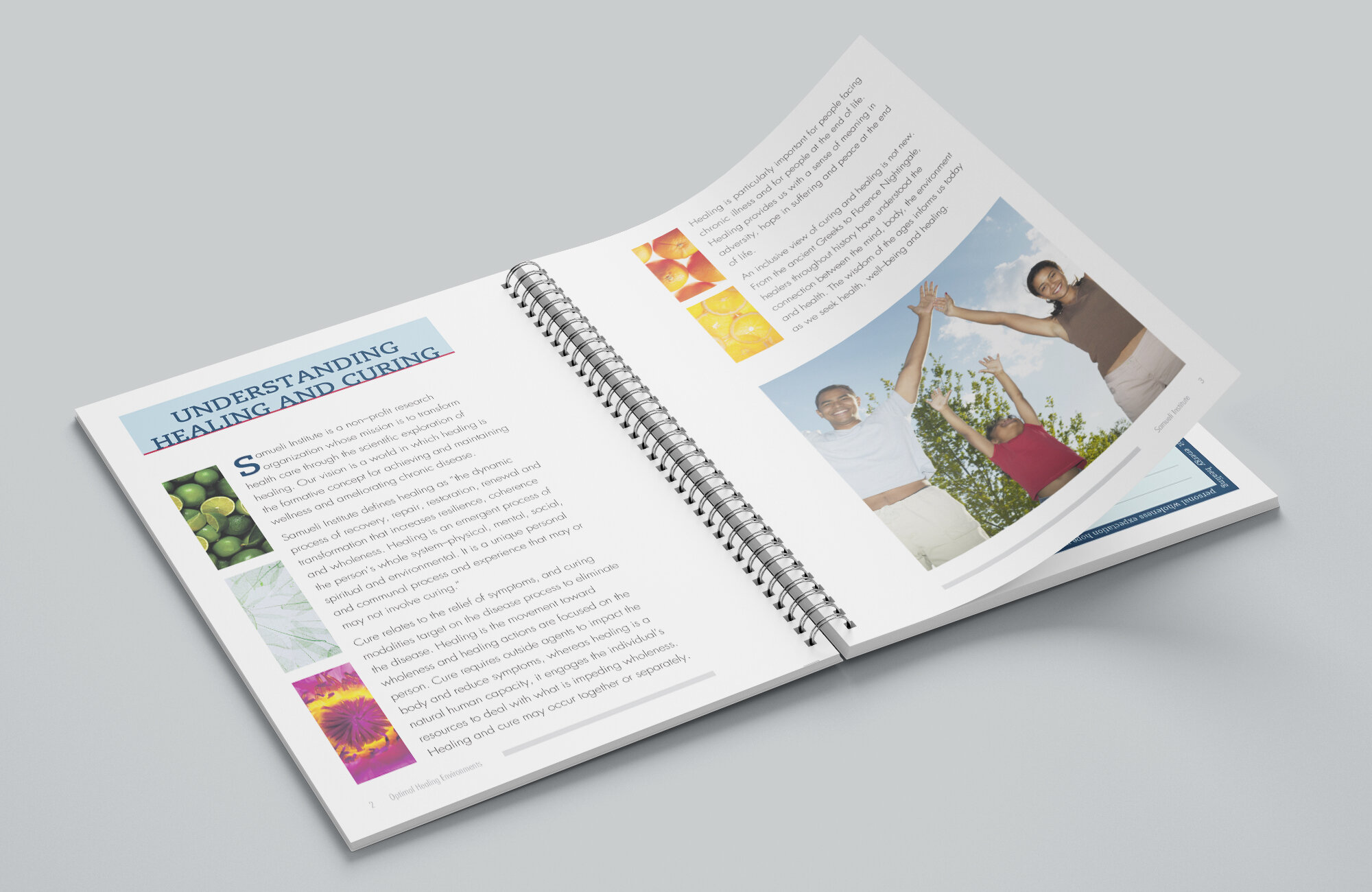 Optimal Healing Environment journal 