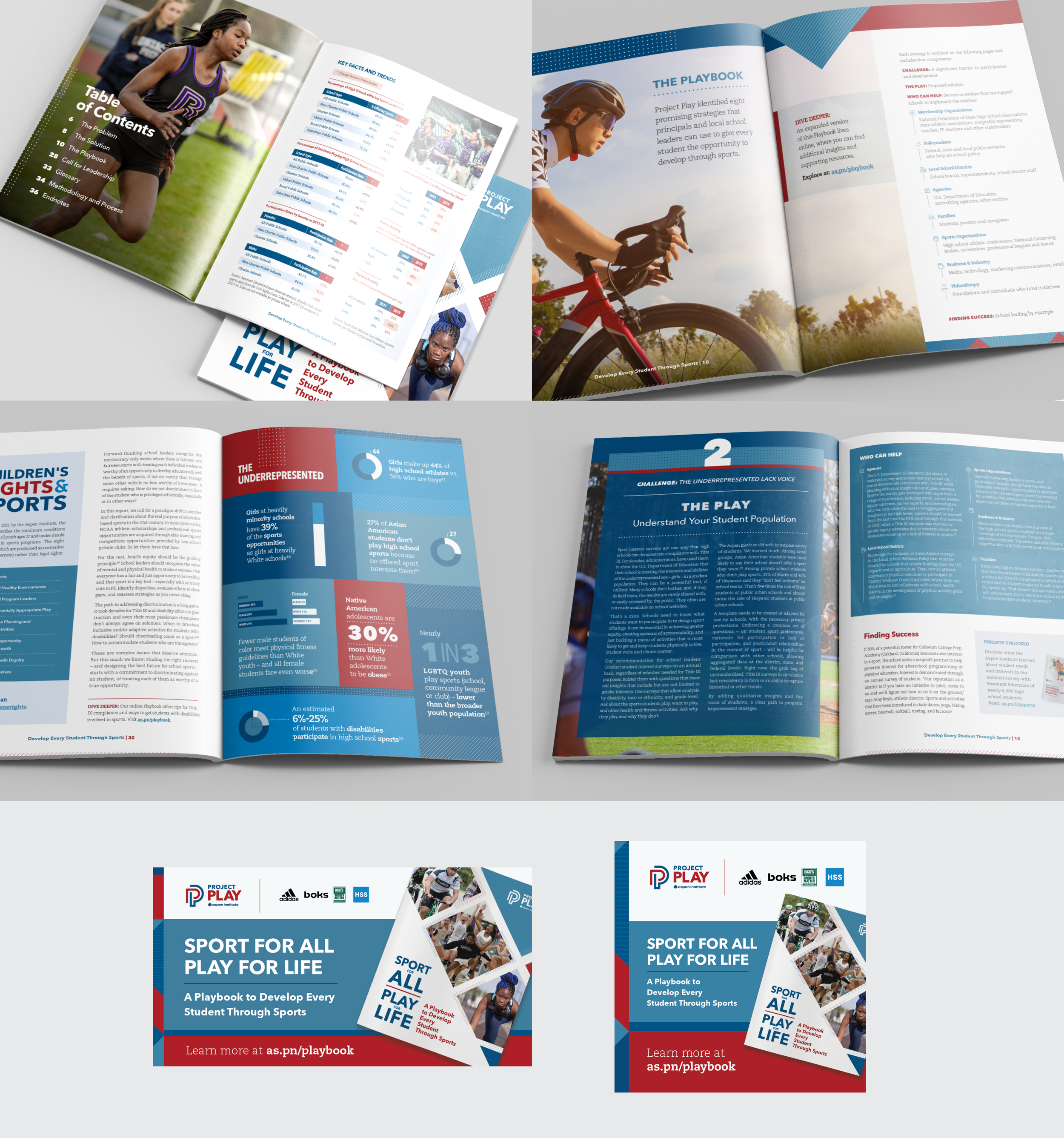Sport for All Play for Life Strategic Plan